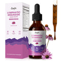 Lymphatic Drainage Drops Supplement - Immune Support, Detox, Liver Health (2 Oz) | Vegan & Non-GMO