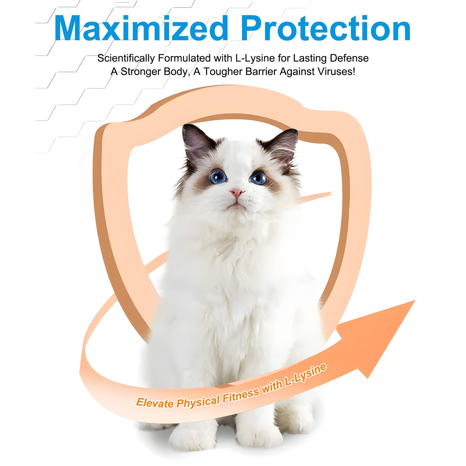 L-Lysine for Cats – 900mg (2 Scoops) Immune Support, Eye & Respiratory Health – 4.23oz (120g)