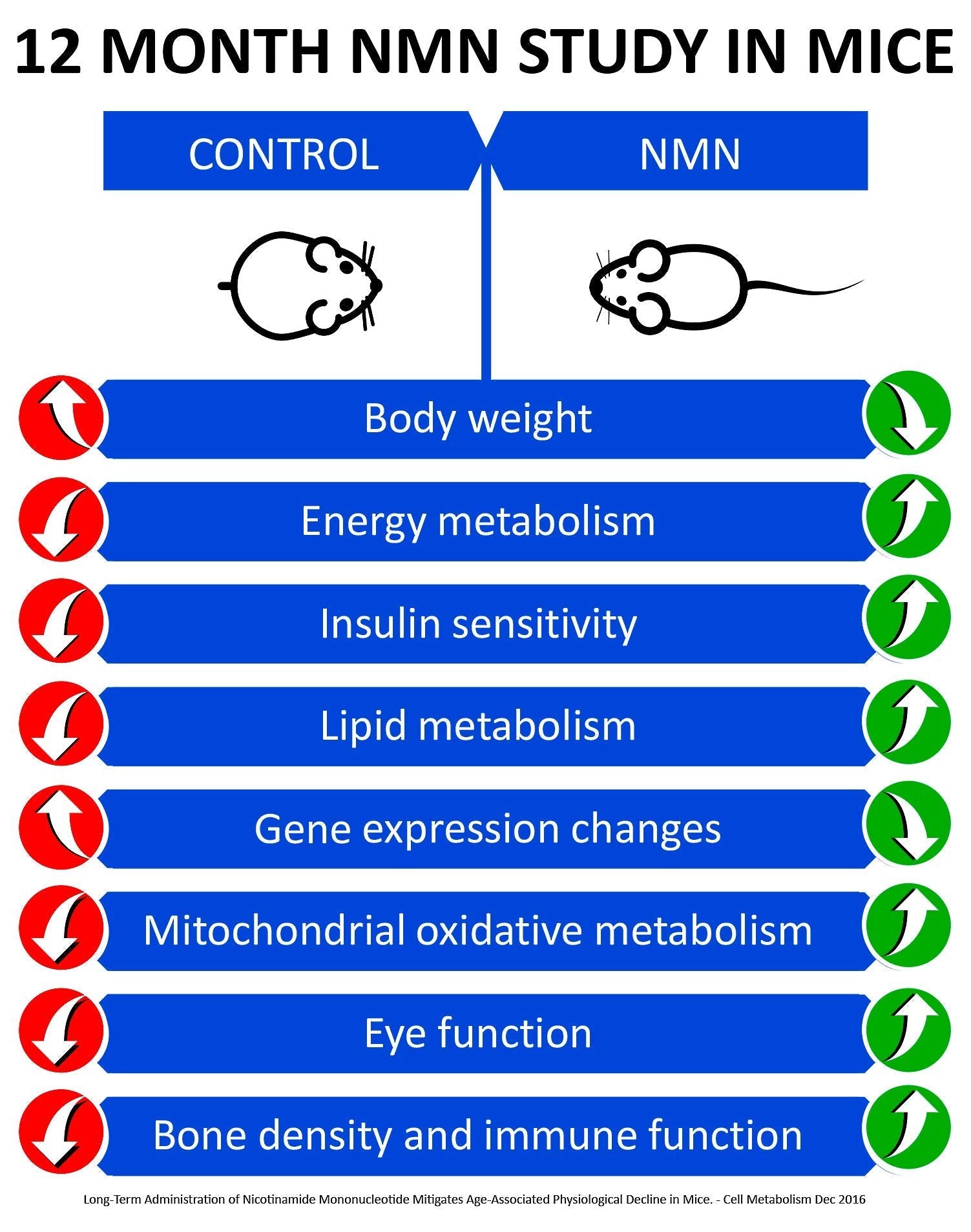 MAAC10 NMN Supplement - 125mg NMN Capsules (30 Count) | NAD+ Booster