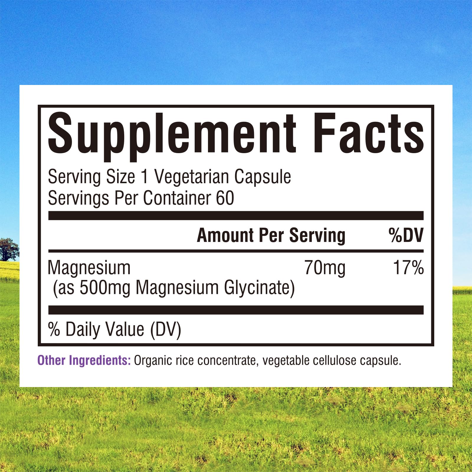 Innate Vitality Magnesium Glycinate 500mg | 70mg Elemental Magnesium per Capsule | High Absorption, Non-GMO & Gluten-Free | 60 Vegan Capsules