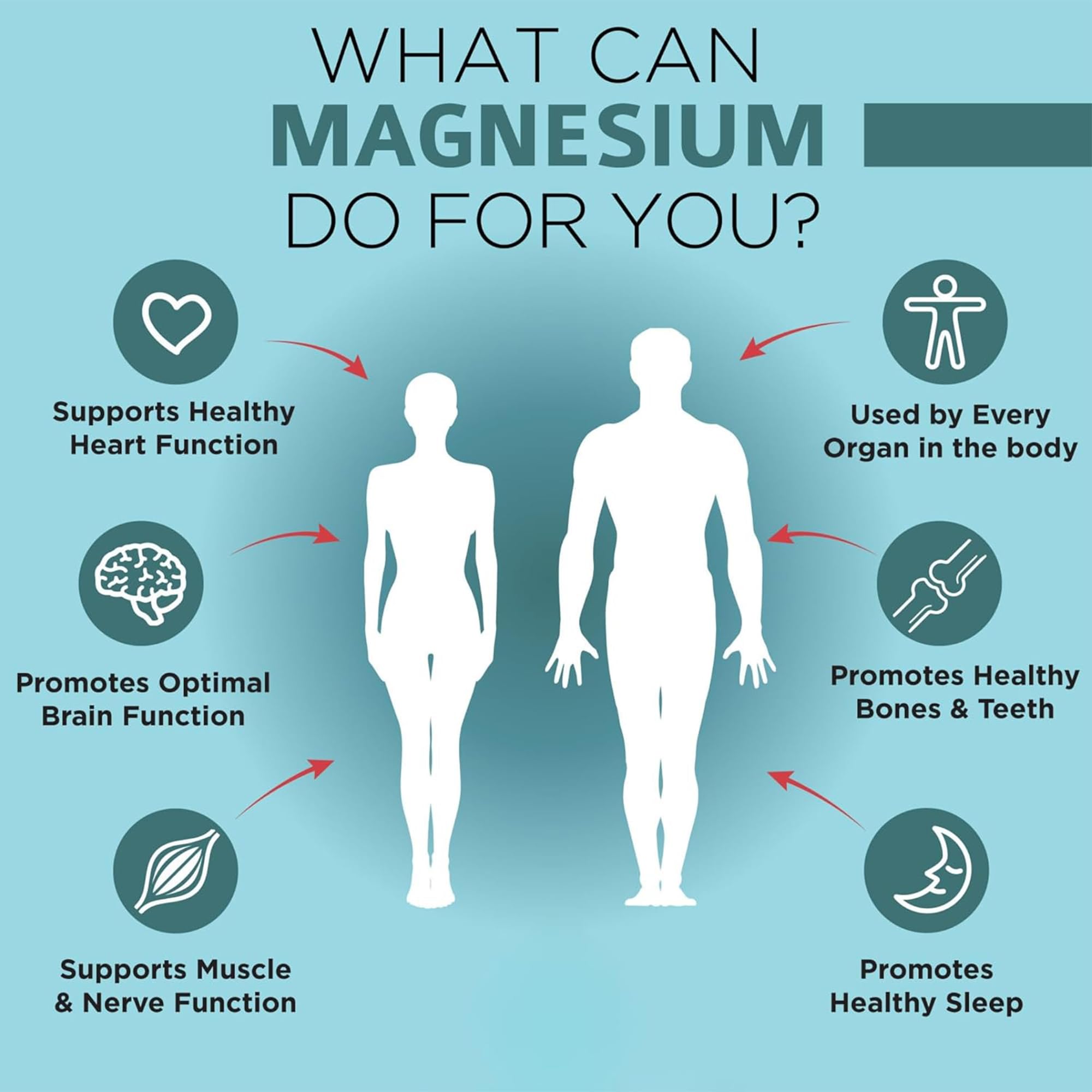 OmniBiotics Magnesium Glycinate Supplement – Albion TRAACS Bisglycinate | Sleep, Muscle, Nerve & Heart Health – 120 Vegan Capsules