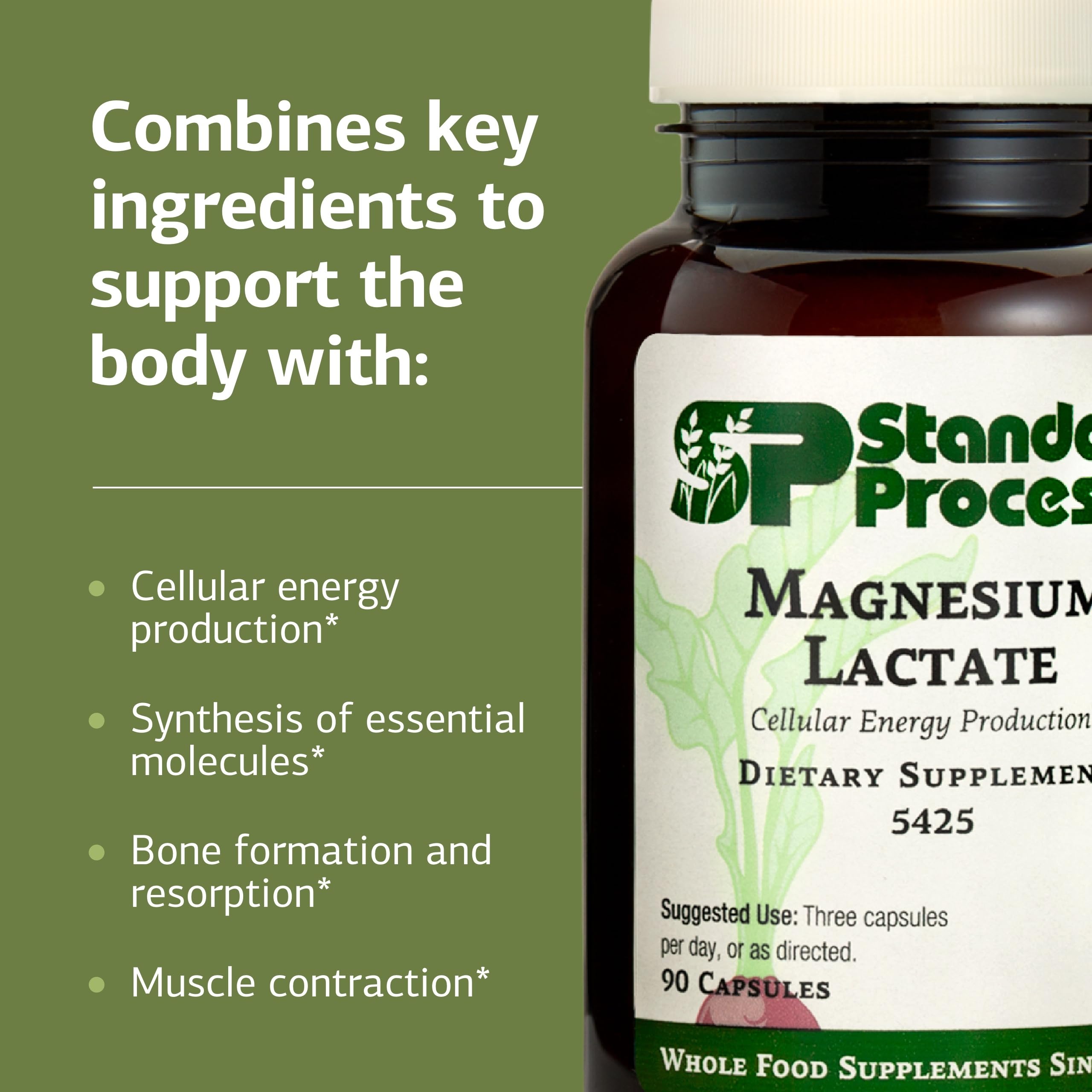 Standard Process Magnesium Lactate 90 Capsules | Energy, Muscle & Bone Support