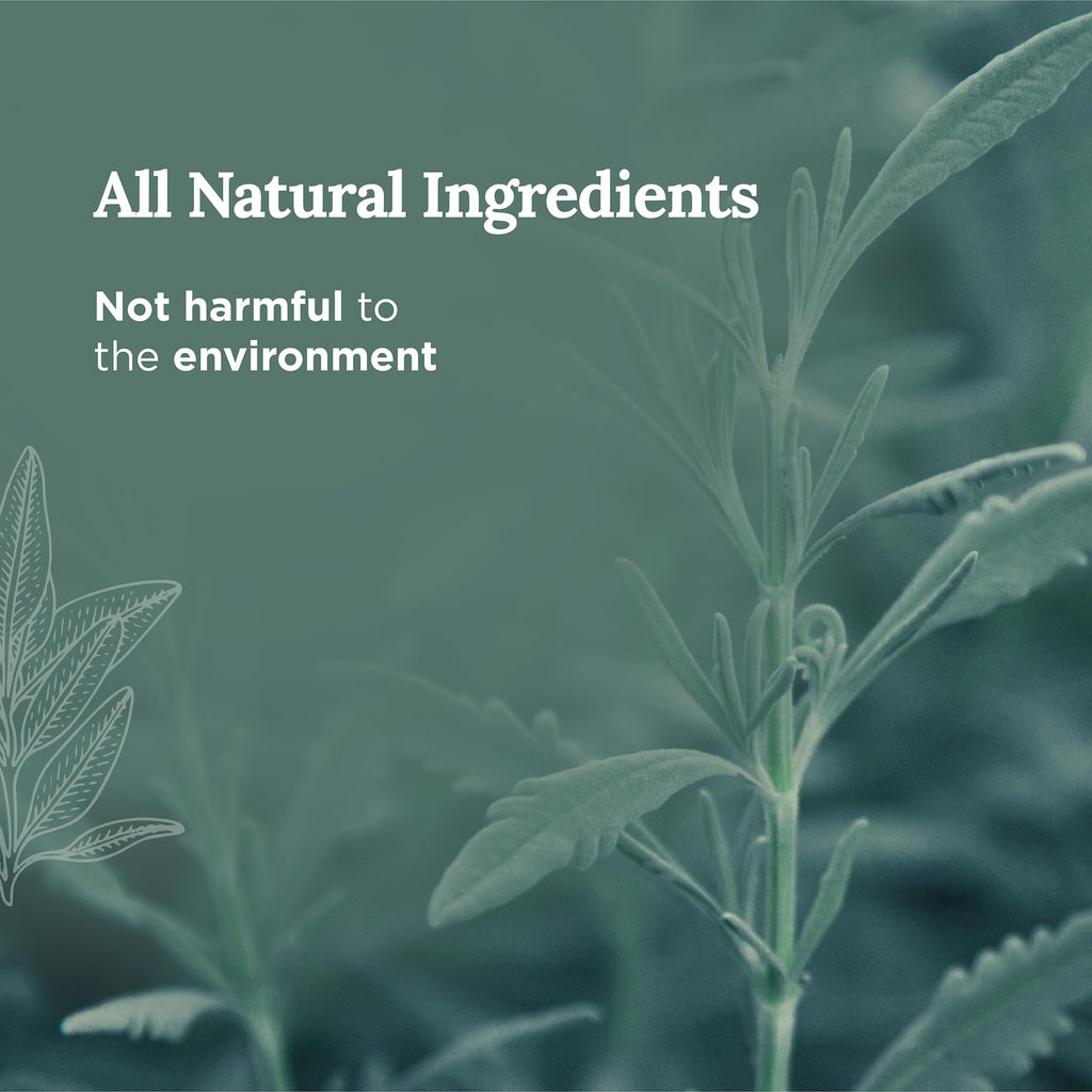 Magnificent 101 Sage + Eucalyptus Soy Candle - 6 oz, 35h Burn