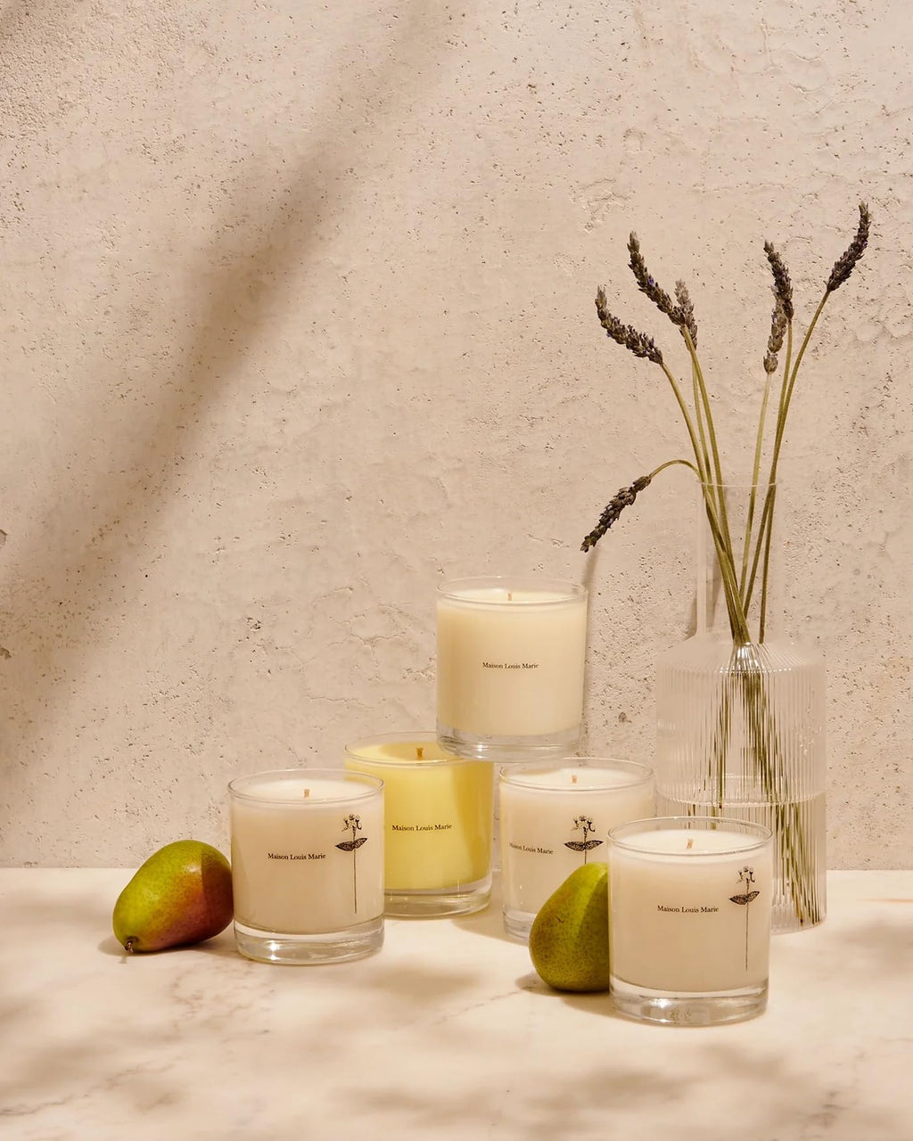 Maison Louis Marie - Antidris Jasmine Soy Wax Candle | Luxury Fragrances for a Modern World (8.5 oz | 240 g)