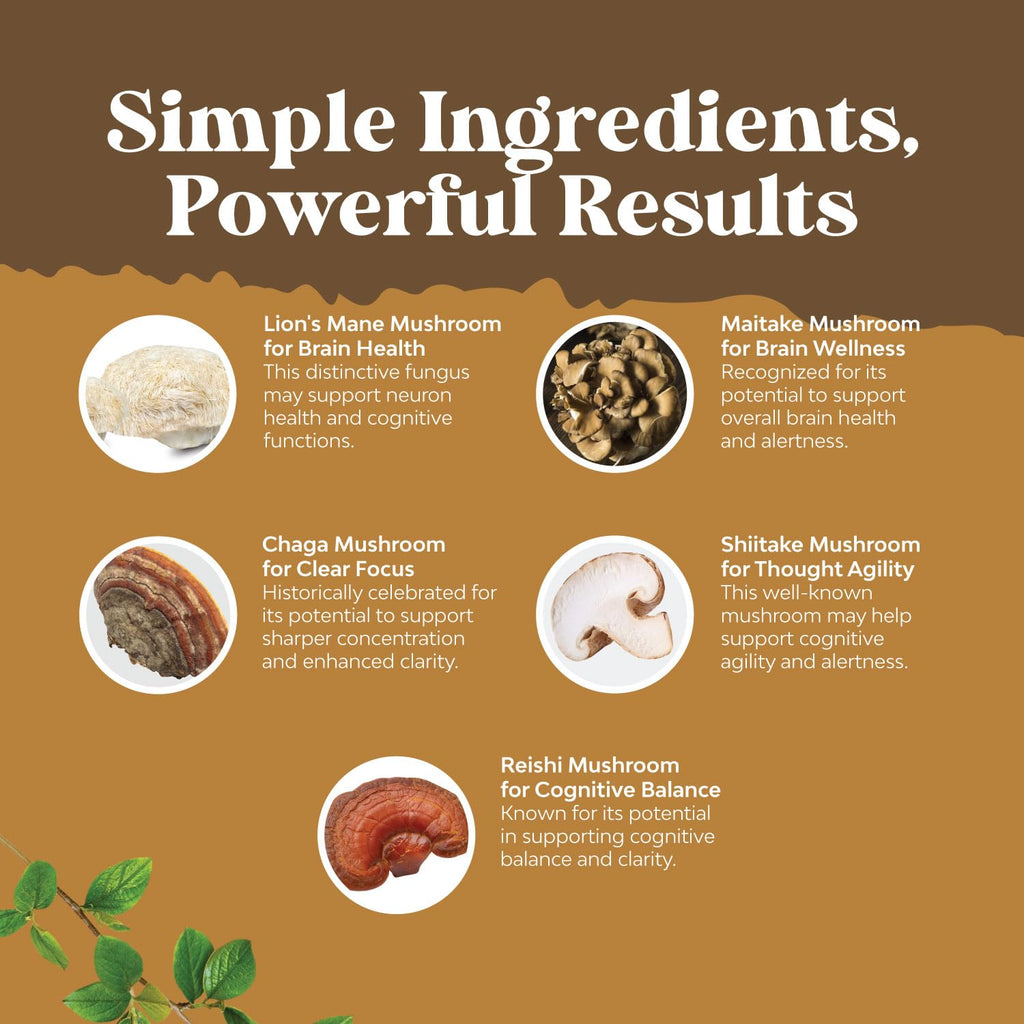 Advanced Lion's Mane Mushroom Supplement - Brain Health & Focus - 120 Caps