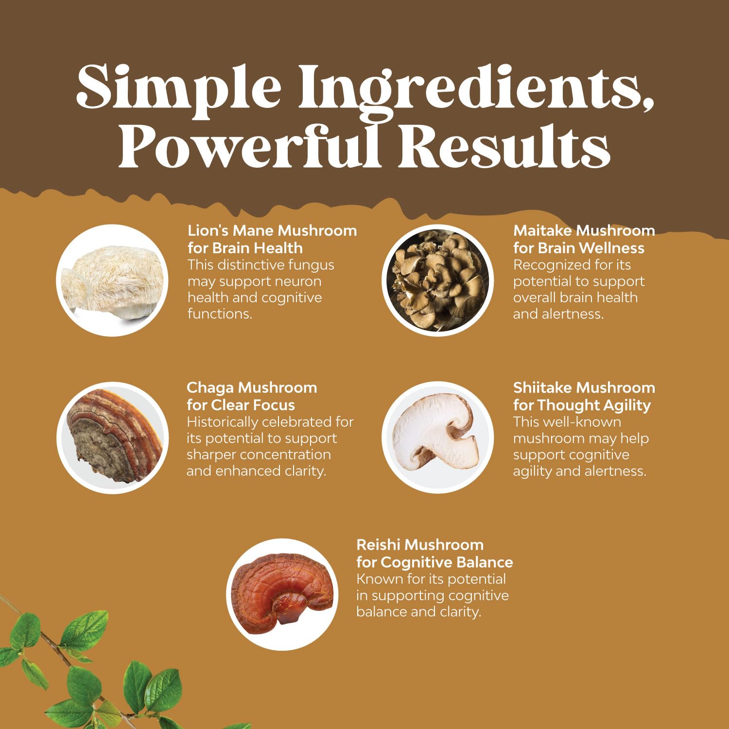 Advanced Lion's Mane Mushroom Supplement - Brain Health & Focus - 120 Caps