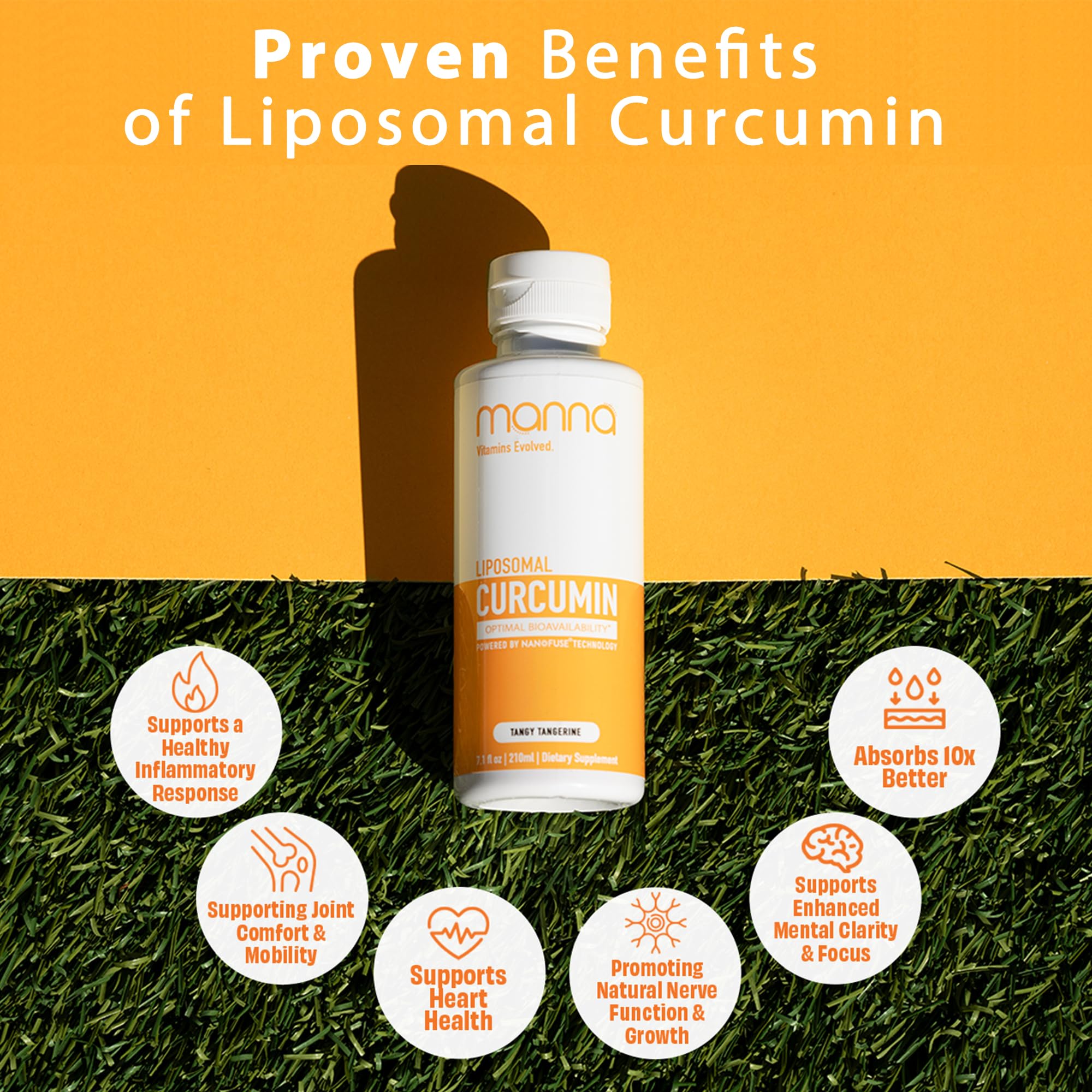 Manna Vitamins Evolved Liposomal Liquid Curcumin for Advanced Absorption – Daily Joint & Immune Health Support (3 Pack) – Vegan, Non-GMO, 95% Curcuminoids