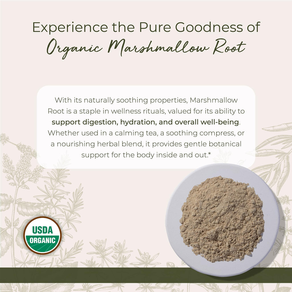 Starwest Organic Marshmallow Root Powder - 1 lb | Kosher, Non-GMO