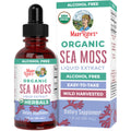 MaryRuth Organics USDA Irish Sea Moss Drops - Organic, Vegan & Non-GMO | 1 Fl Oz