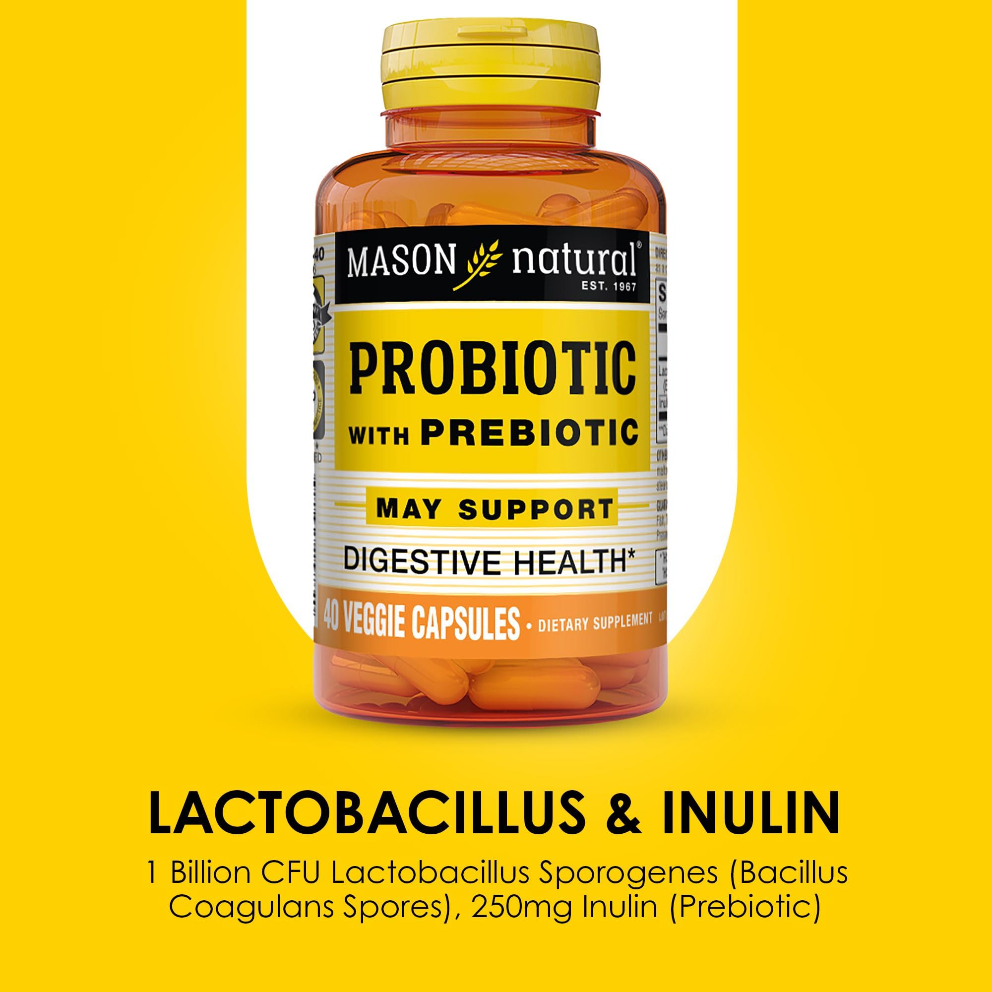 Mason Natural Probiotic with Prebiotic – 40 Day Supply | Gut Health & Digestion
