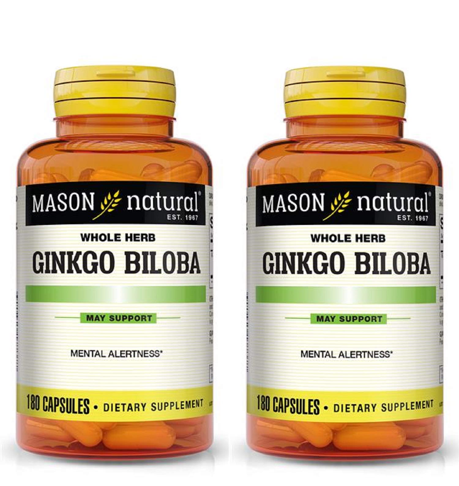 Mason Vitamins Ginkgo Biloba 500 mg – 360 Gelatin Capsules (Pack of 2 Bottles)