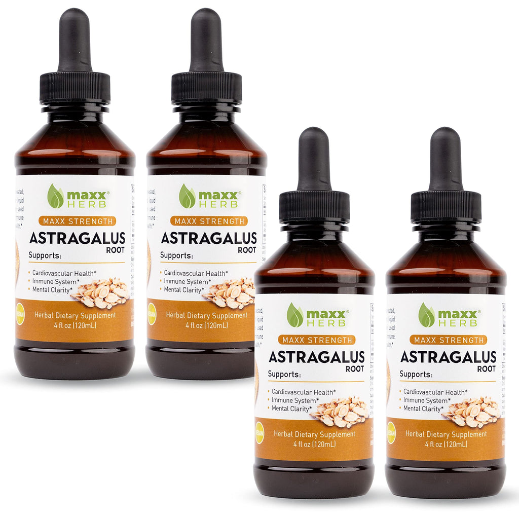 Maxx Herb Astragalus Root Extract – Max Strength Liquid Tincture for Immune Support & Mental Clarity – 4 Bottles, 4 Oz Each (240 Servings)