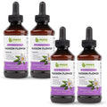 Maxx Herb Passion Flower Extract – Max Strength Liquid (Alcohol-Free) – 4 Bottles