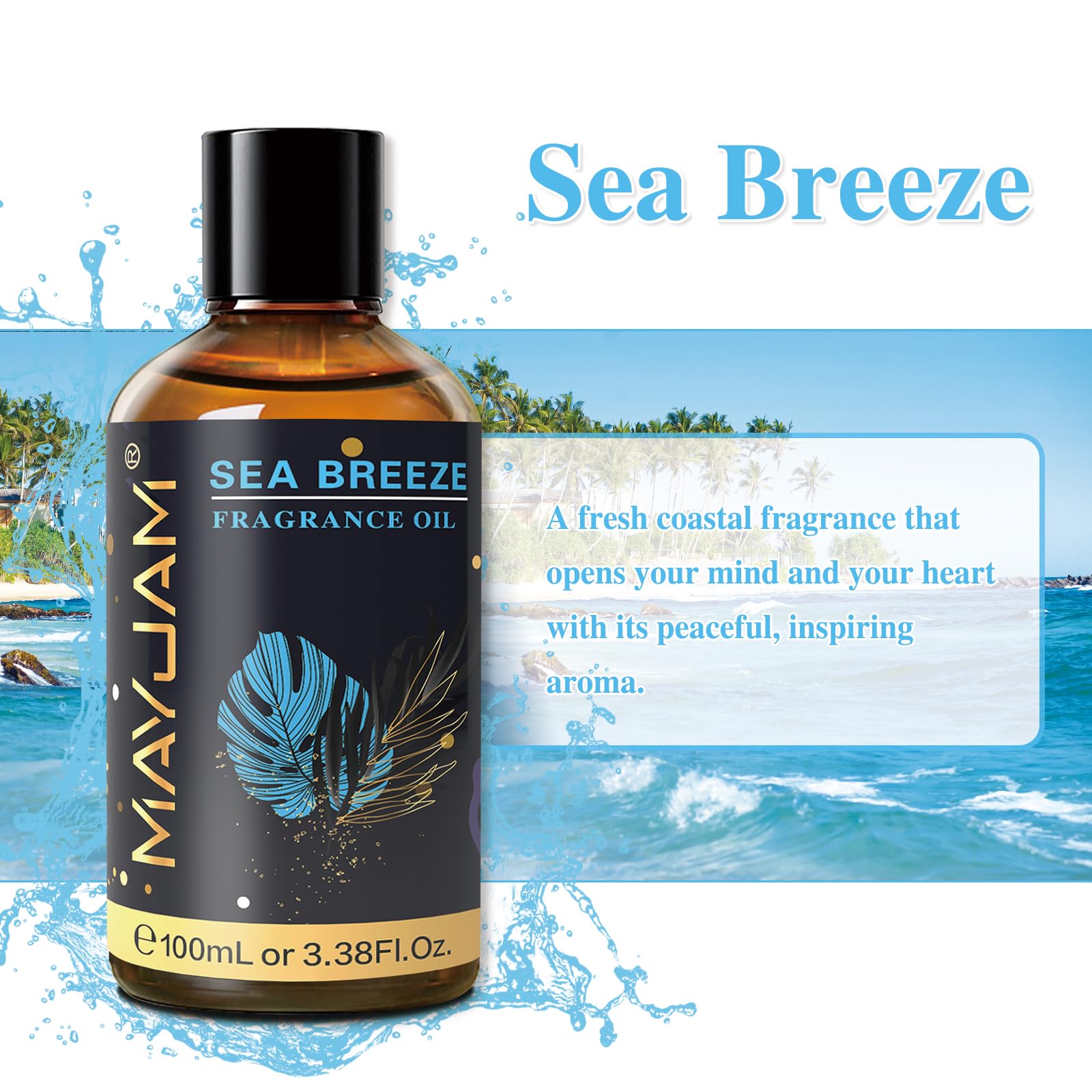 MAYJAM Sea Breeze Fragrance Oil 100ML with Glass Dropper – Diffuser & DIY