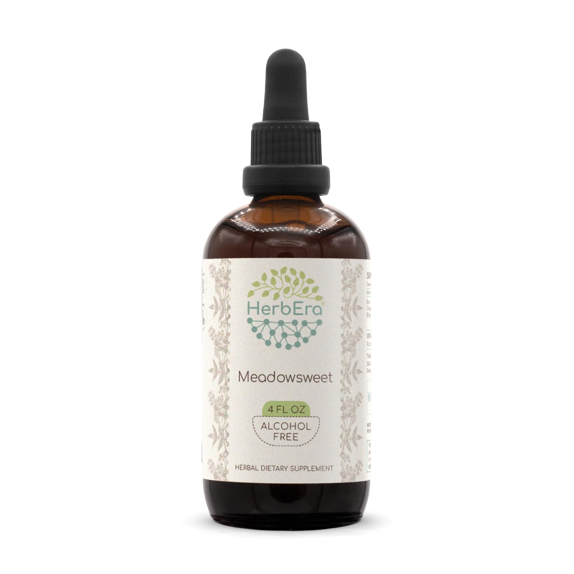 Meadowsweet B120 Alcohol-Free Herbal Extract Tincture - 4 fl oz