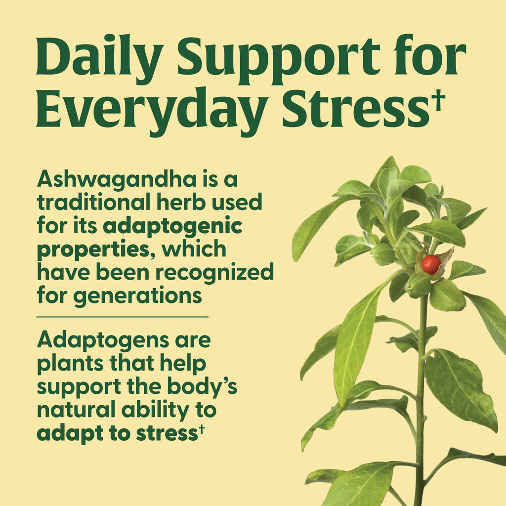MegaFood Adrenal Strength – Adrenal Support with Sensoril Ashwagandha, Vitamin C, Magnesium Glycinate (Vegetarian, 90 Tablets)