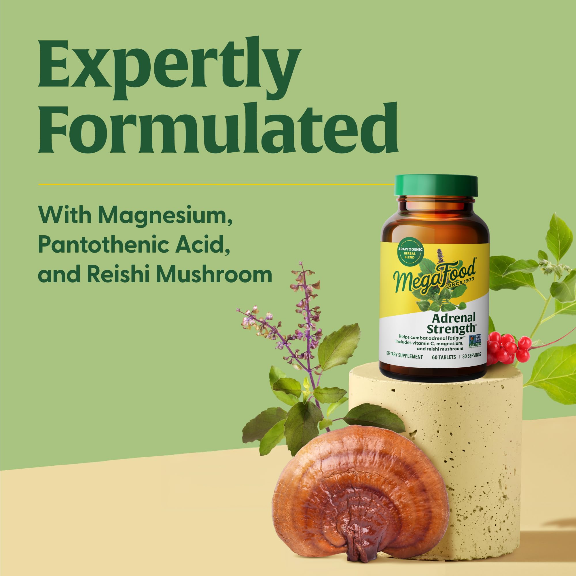 MegaFood Adrenal Strength - Adrenal Support with Ashwagandha, Magnesium Glycinate, Vitamin C | Vegetarian, 60 Tablets