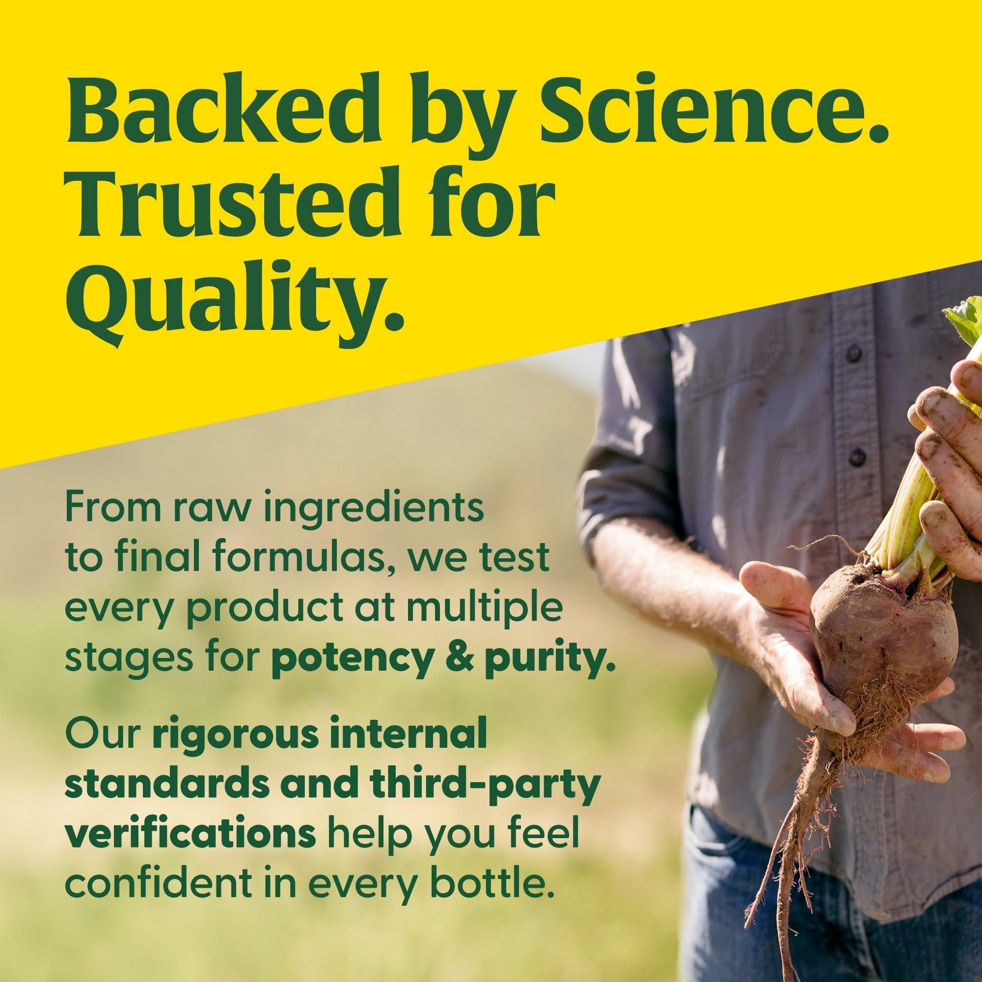 MegaFood Kids Vitamin B Complex – B12, B6, Folate, L-Theanine | Vegetarian & Gluten Free