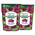 MegaFood Relax + Calm Magnesium Soft Chews – Grape Flavor, 60 Chews (Pack of 2) | Vegetarian, 9 Allergen-Free