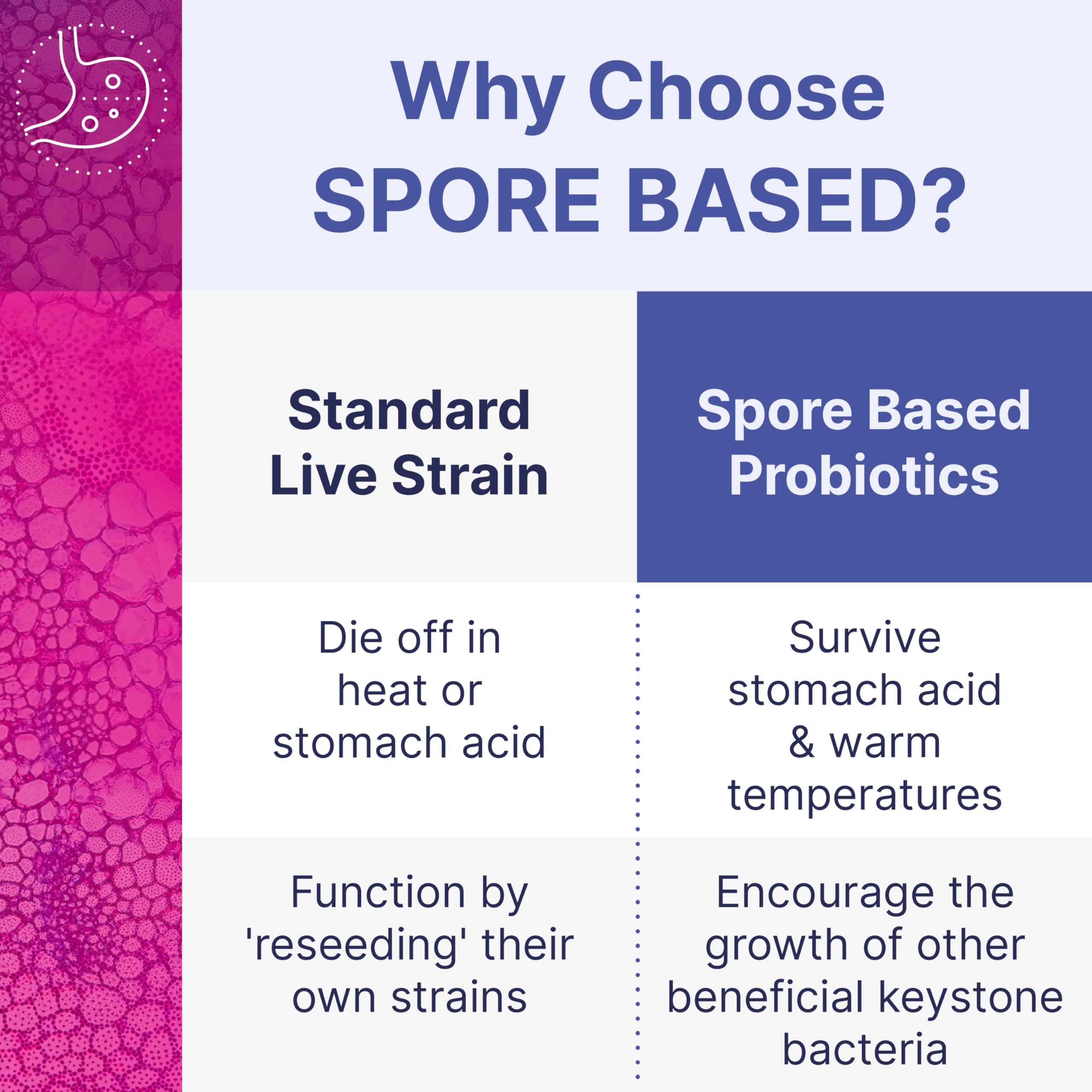 MegaSporeBiotic Probiotics - Spore-Based Digestive Health (180 Capsules)
