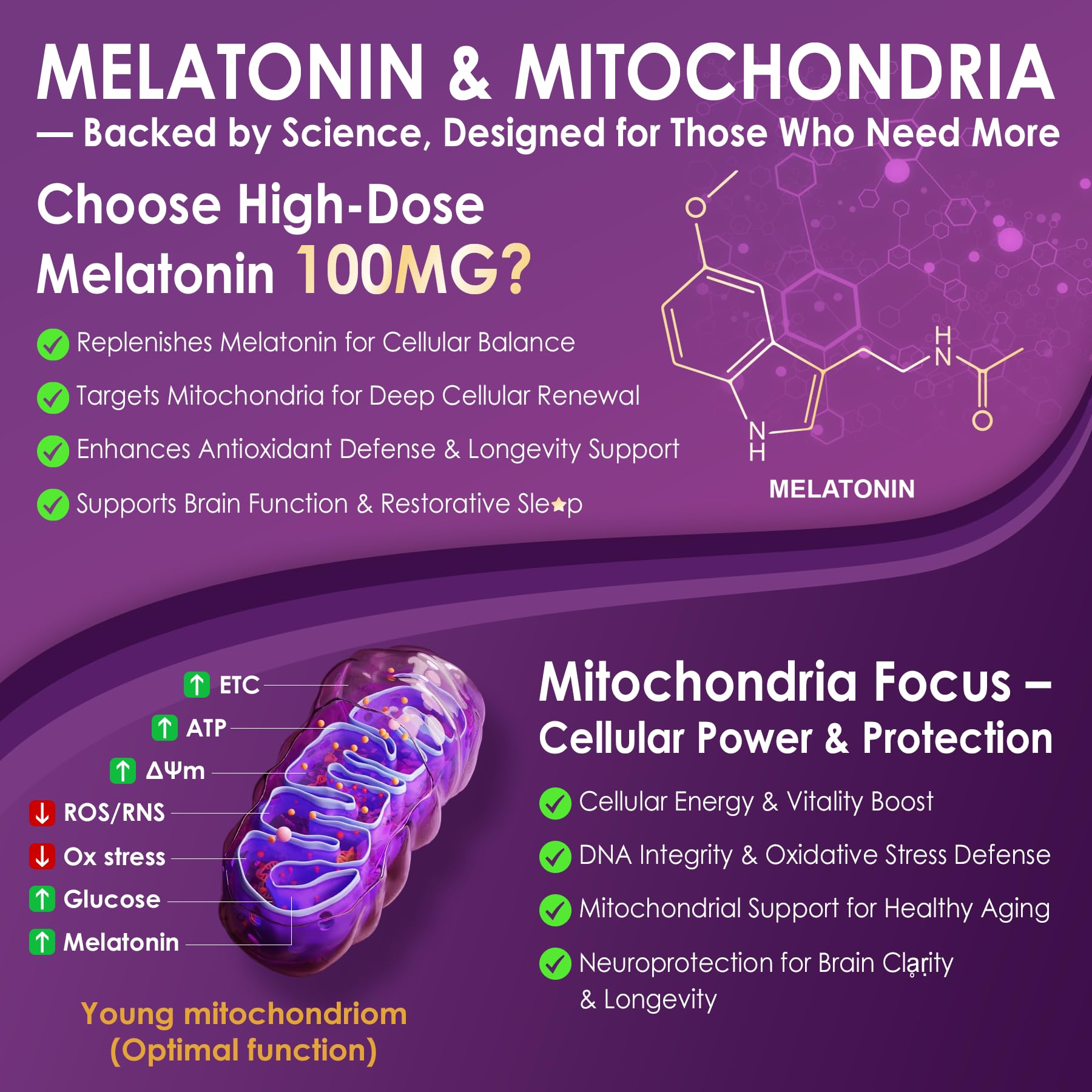 Melatonin 100mg Liposomal – Antioxidant & Cognitive Health, 75 Softgels
