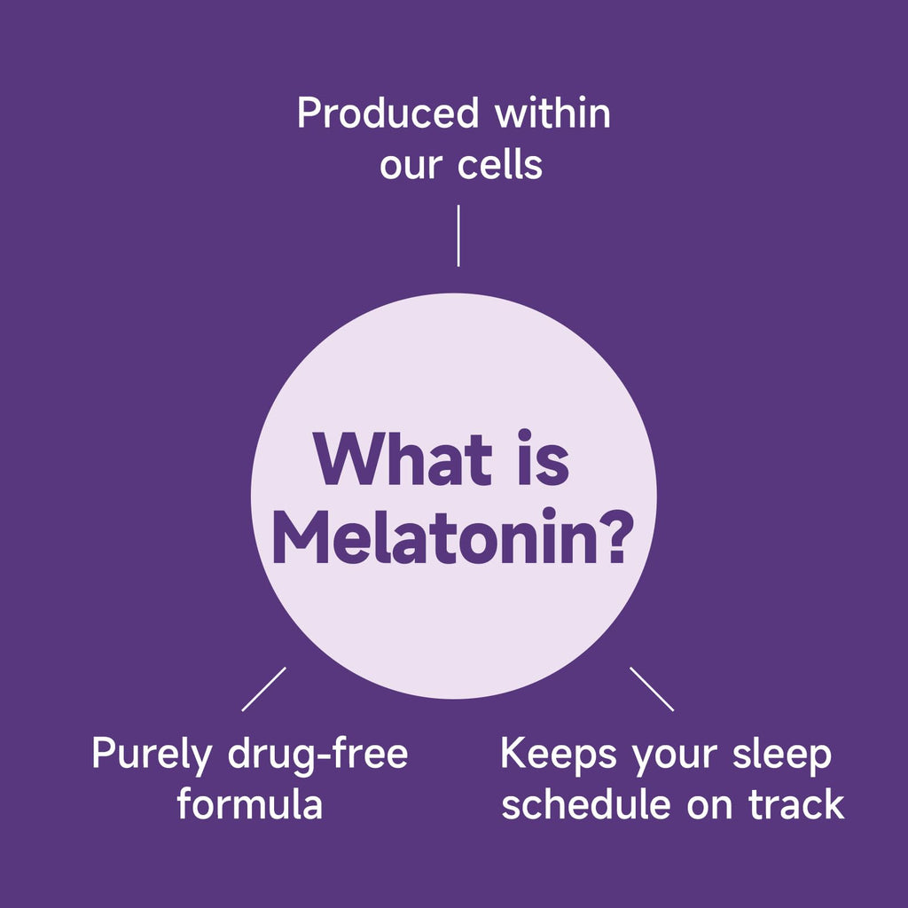 Melatonin 3mg Gummies for Adults – Vegan, Sugar-Free, Strawberry (60 Count) | L-Theanine & GABA