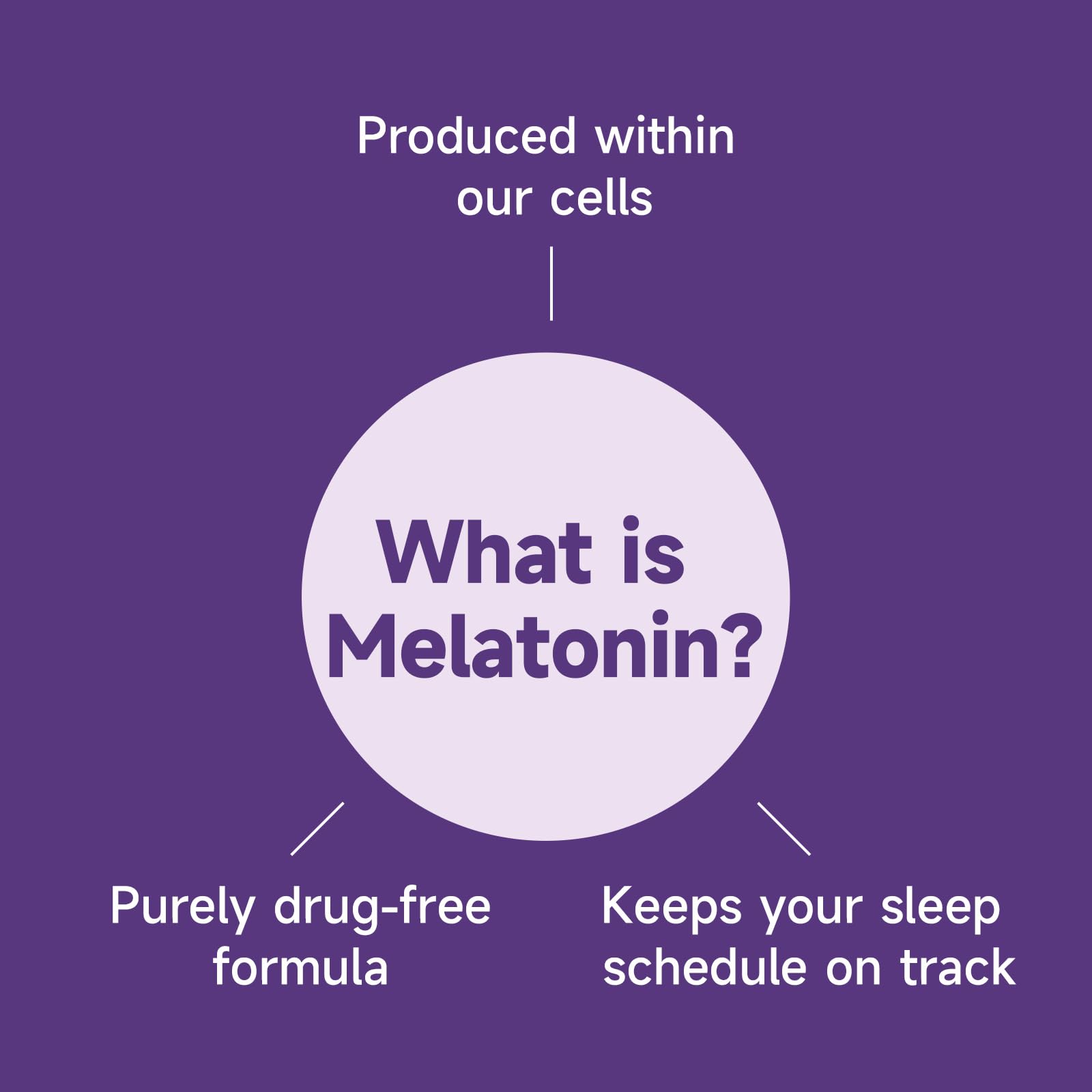 Melatonin 3mg Gummies for Adults – Vegan, Sugar-Free, Strawberry (60 Count) | L-Theanine & GABA