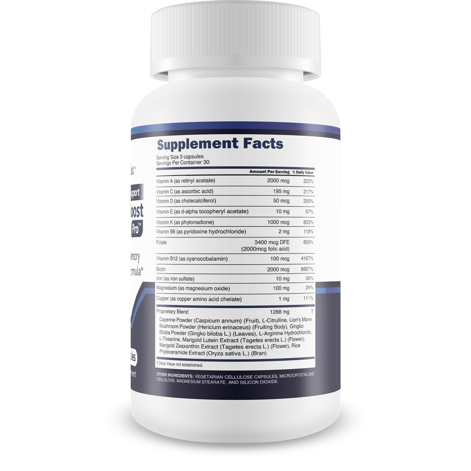 Memory Support Syna Boost Pro – Best Memory & Focus Supplement