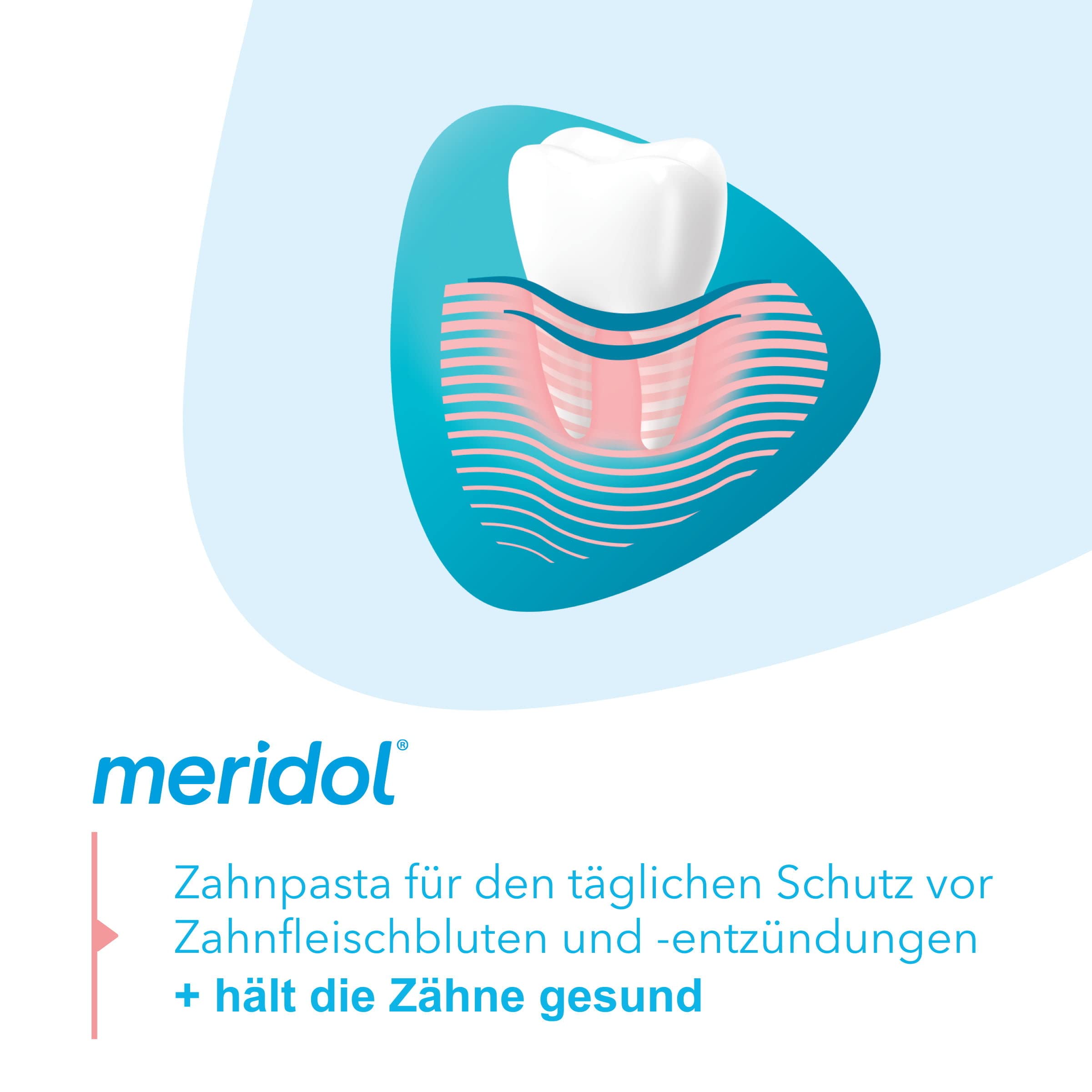 Meridol Toothpaste Double Pack (2x75ml) – 150 ml | Gum Care & Decay Protection