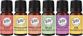 Wild Essentials 6 Pack Synergy Blend Aromatherapy Oils | 100% Pure, USA Made | mEssentials