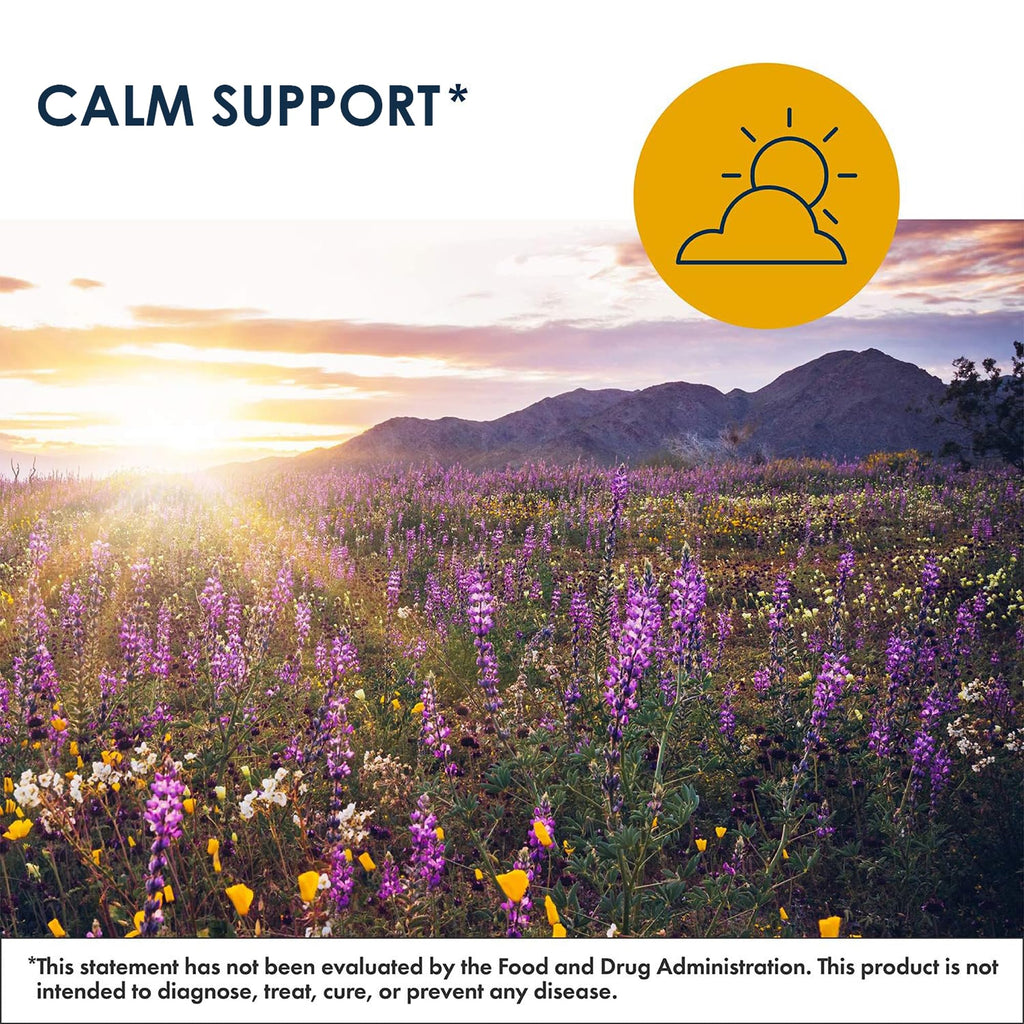 Metabolic Maintenance MetaCalm – GABA L-Theanine Calm & Sleep Support (90 Capsules)