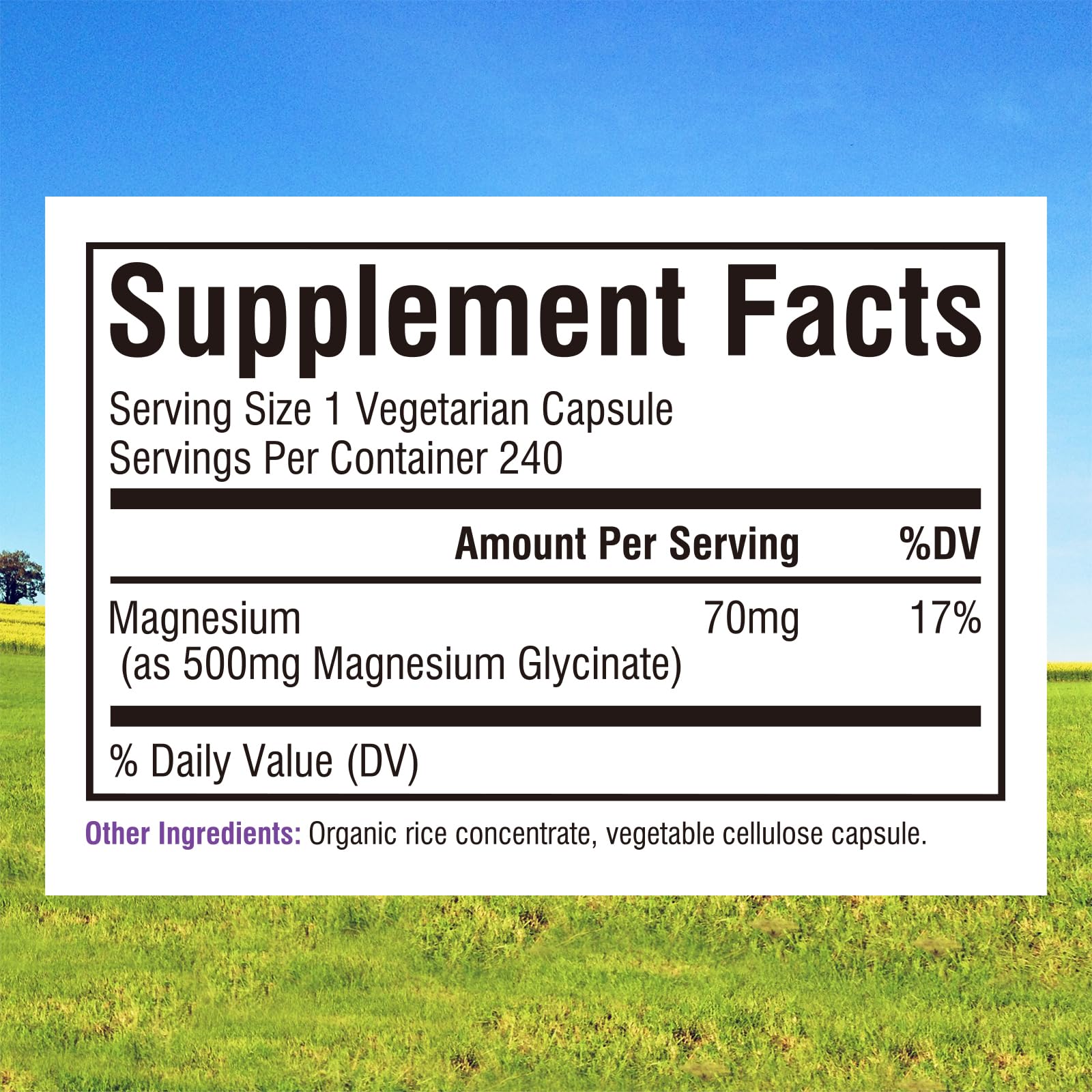 Innate Vitality Magnesium Glycinate 500mg | 70mg Elemental Mg | 240 Caps