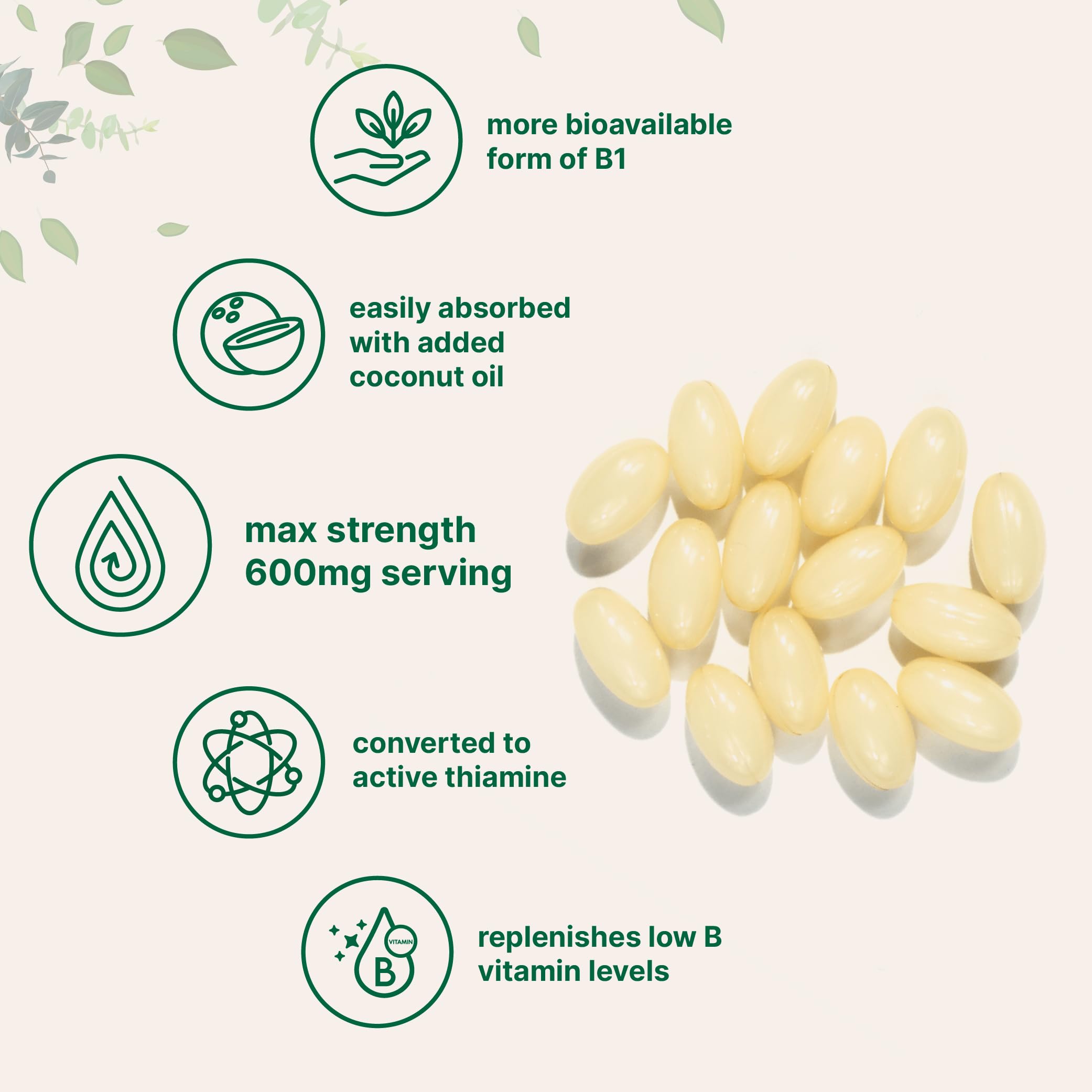 Micro Ingredients Vitamin B1 Benfotiamine 600mg Softgels – Bioavailable B1, Non-GMO, Soy Free