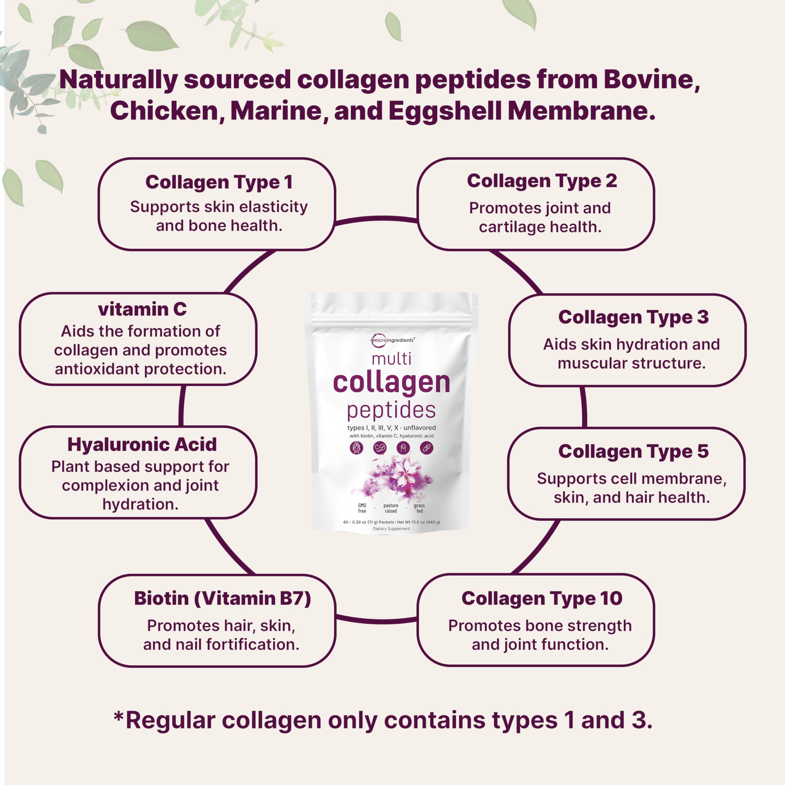 Micro Ingredients Multi Collagen Peptides Powder - 40 Stick Packs | Unflavored | Type I–X + Biotin, Vitamin C & Hyaluronic Acid | Keto & Non-GMO