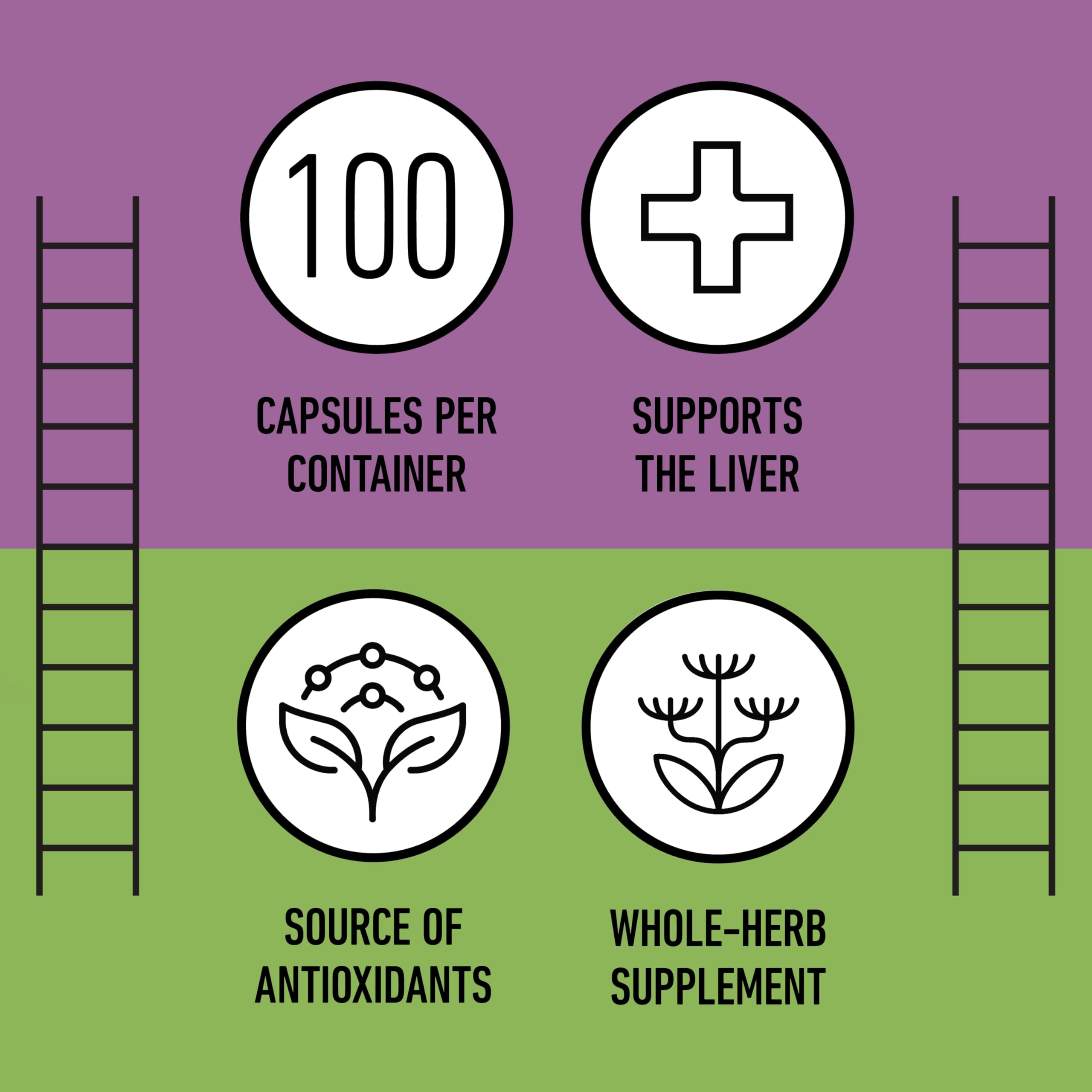 Milk Thistle Capsules 500 mg Silymarin – Pure Organic, Pack of 2 (200 Capsules) | Complete Natural Products