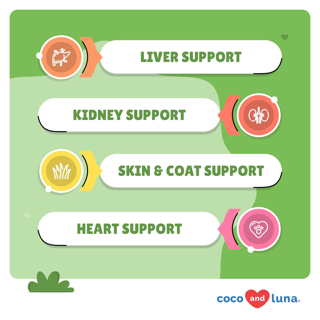 Milk Thistle for Dogs – Liver & Kidney Support (120 Chewables)