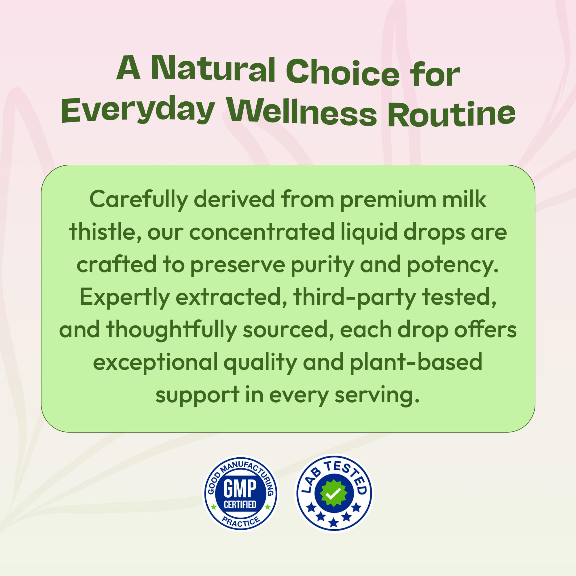 Milk Thistle Drops with 80% Silymarin Flavonoids – Vegan, Non-GMO, Fast-Absorbing – Mixed Berry, 60 mL