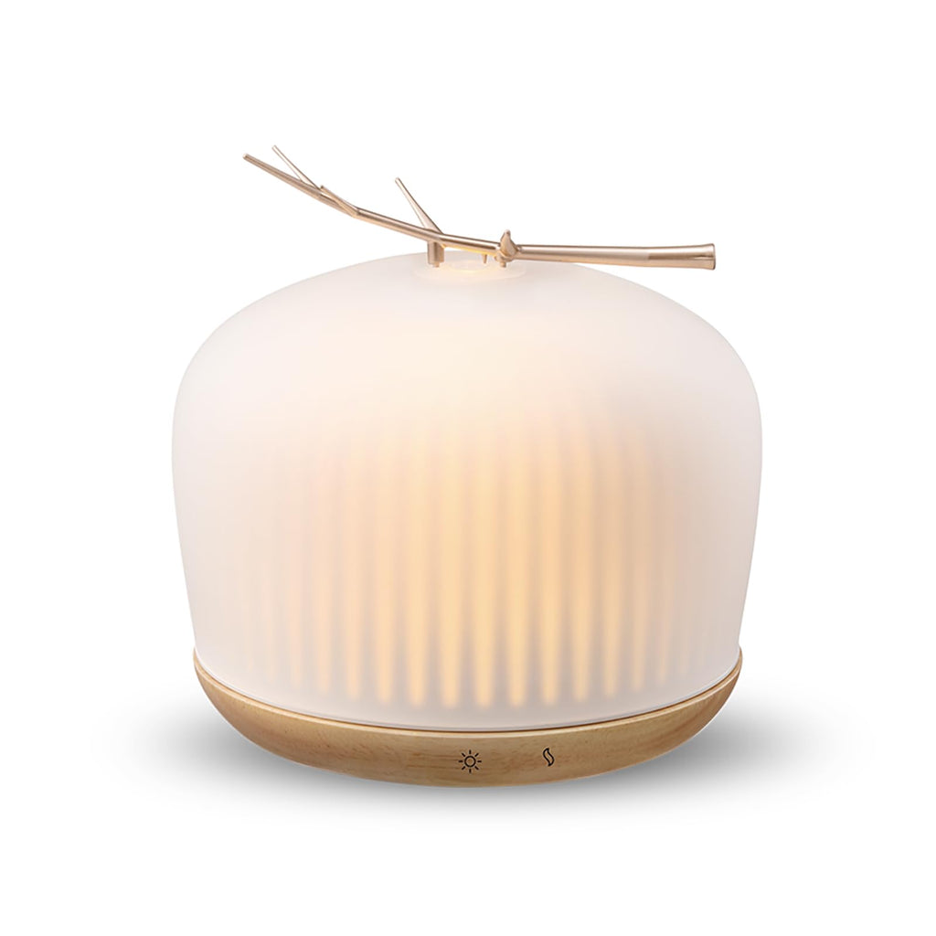 mimicat Quiet Aromatherapy Diffuser Glass 230ML Ultrasonic Cool Mist with Night Light – Aesthetic for Women and Girls