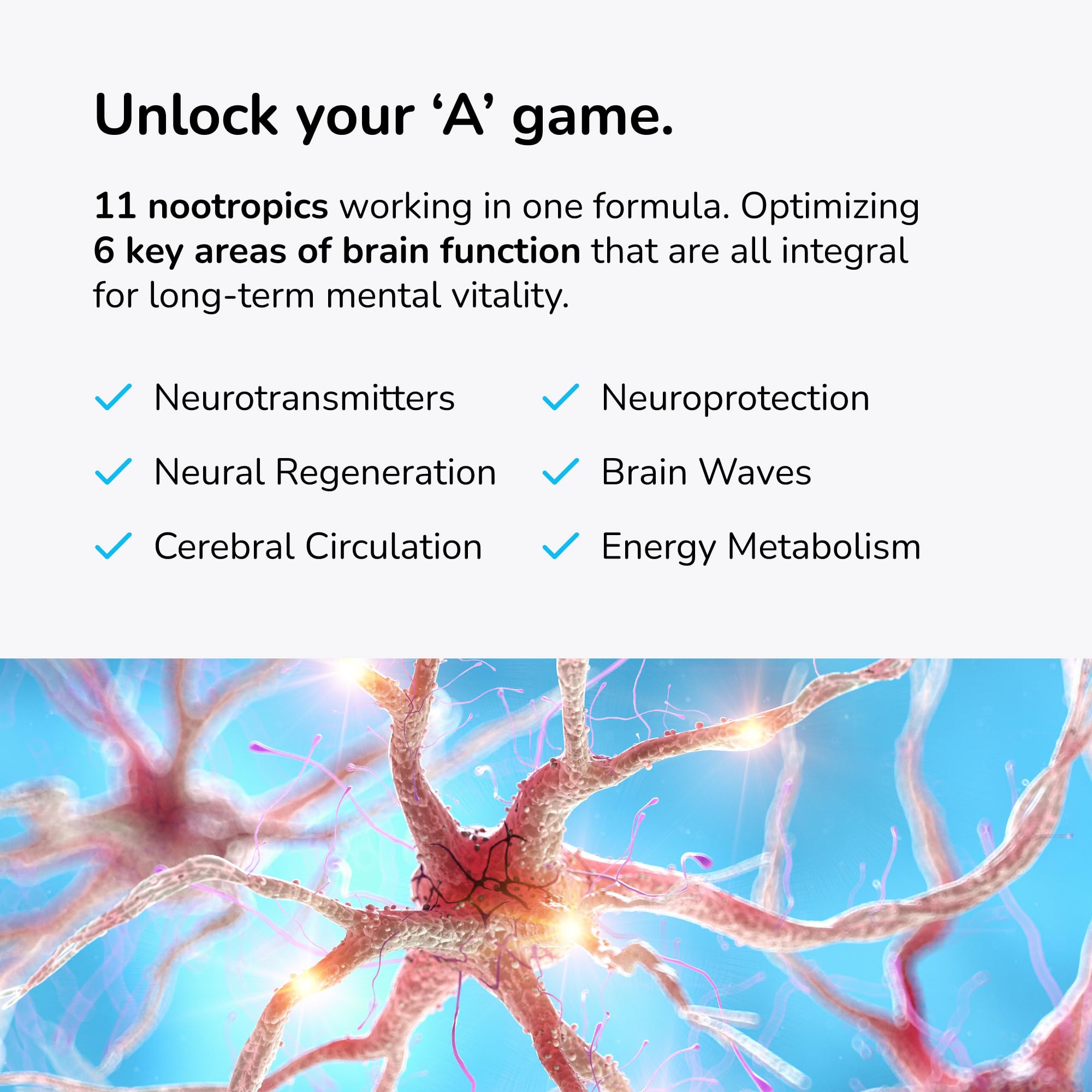 Mind Lab Pro MLP v4 Universal Nootropic – Focus, Memory, Clarity, Energy – 60 Count, Plant-Based, Made in USA