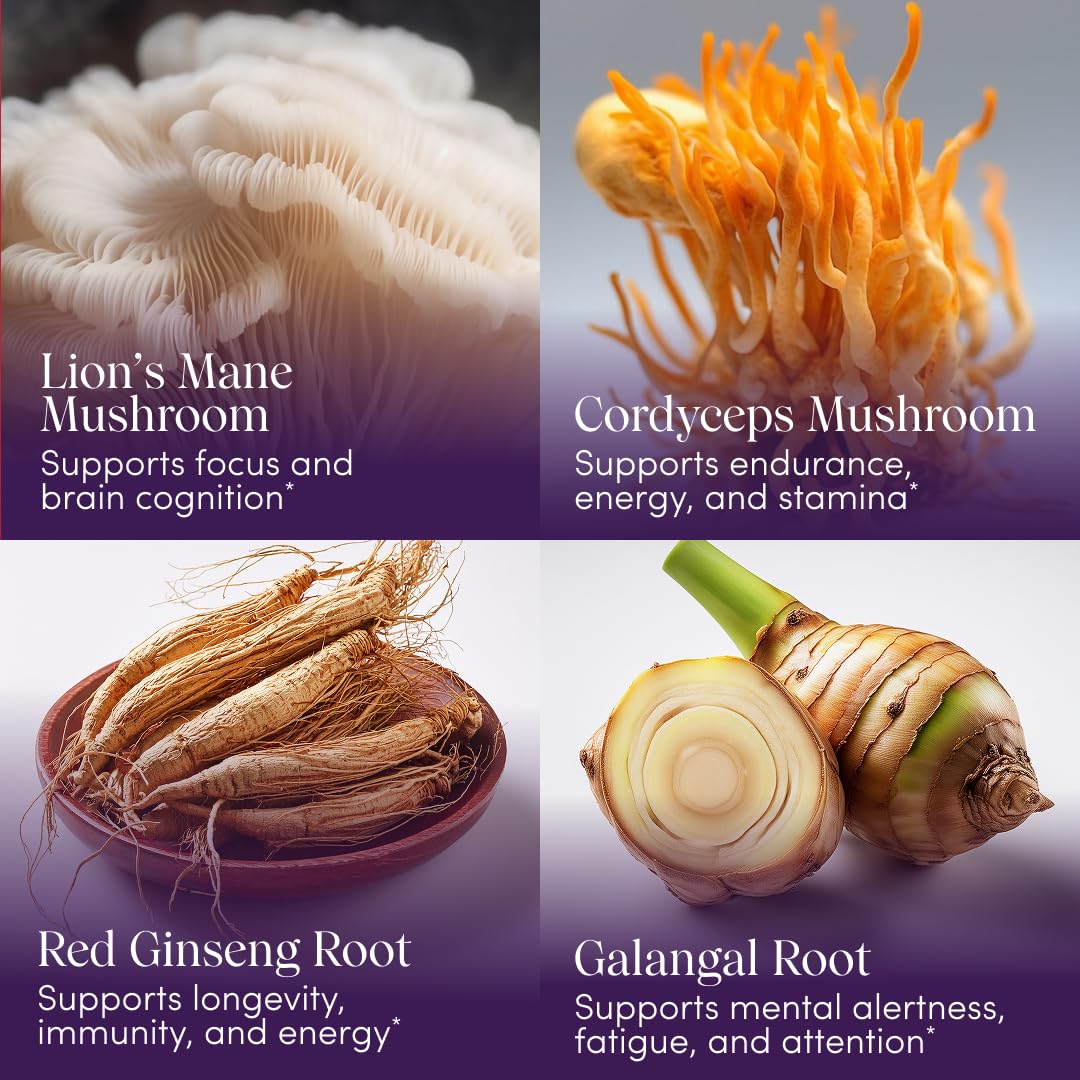Apothékary Mindcraft: Focus, Cognition & Longevity Drops with Lion’s Mane & Cordyceps
