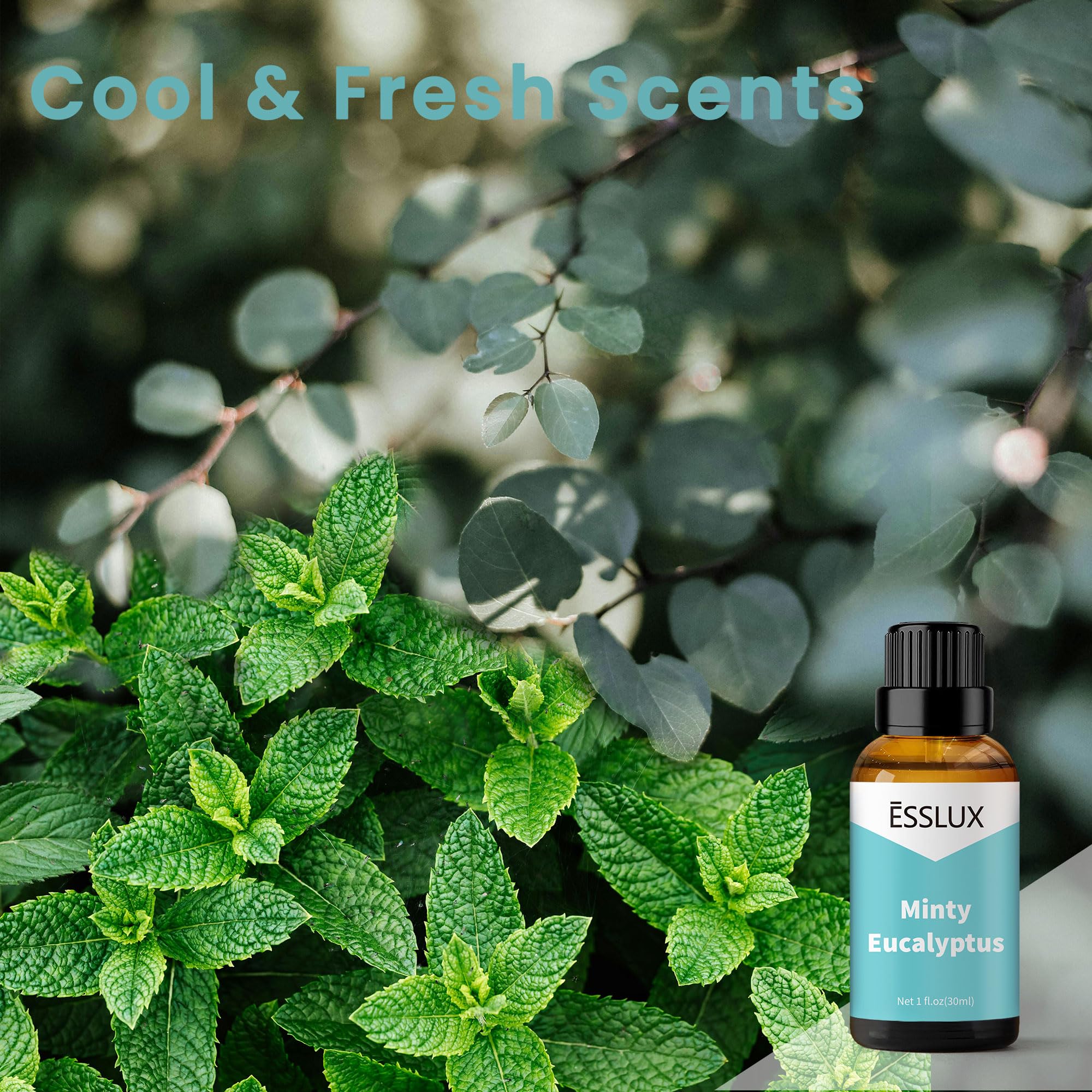 Minty Eucalyptus Fragrance Oil - ESSLUX | Diffuser, Candle & Soap Making