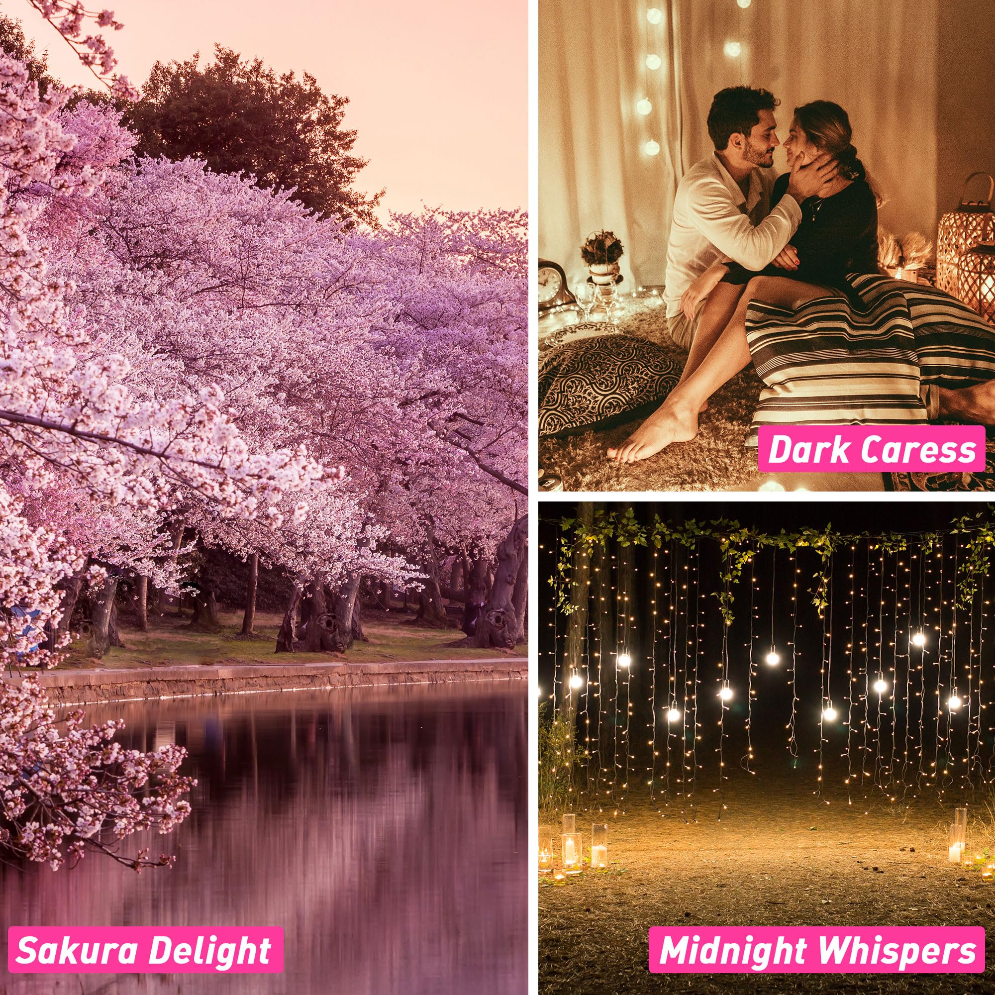 Fragrance Oils Gift Set – 6x10ml Coconut Fresh & More | ESSLUX