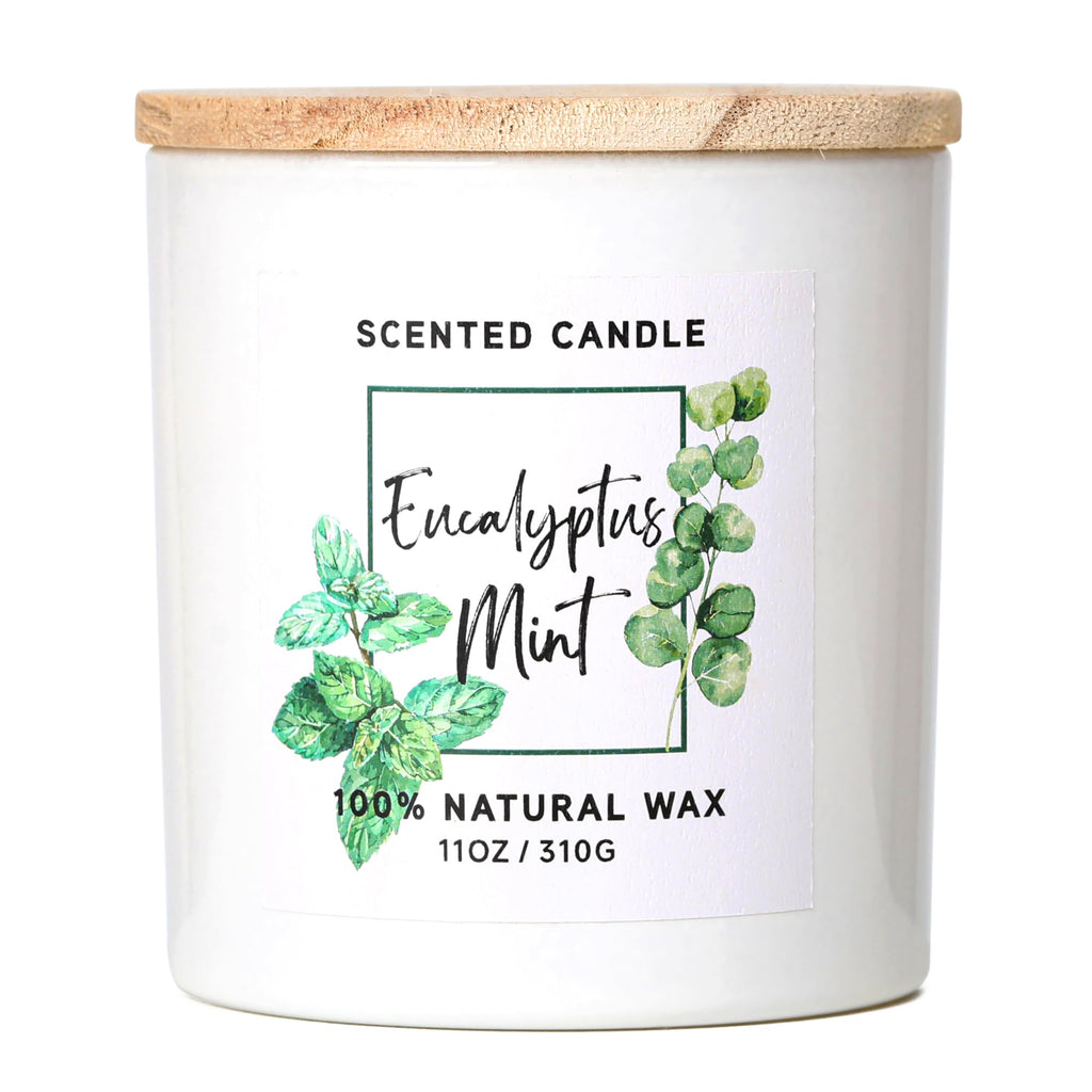 MIRASCENTS Eucalyptus & Mint Scented Candle – 11oz Natural Soy Wax