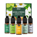 MISIJI Essential Oils for Diffuser - 10ml (Orange, Lavender, Peppermint, Eucalyptus, Tea Tree) | Top Aromatherapy Oils