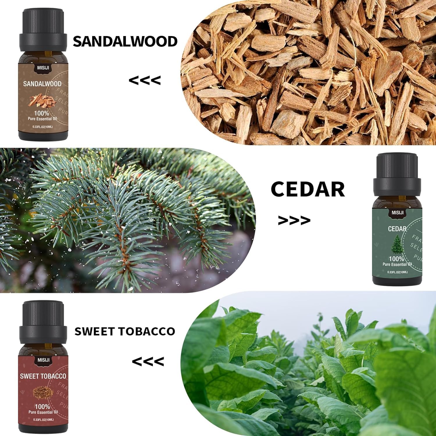 MISIJI Essential Oils Set - 6x10ml for Diffusers, Aromatherapy & DIY