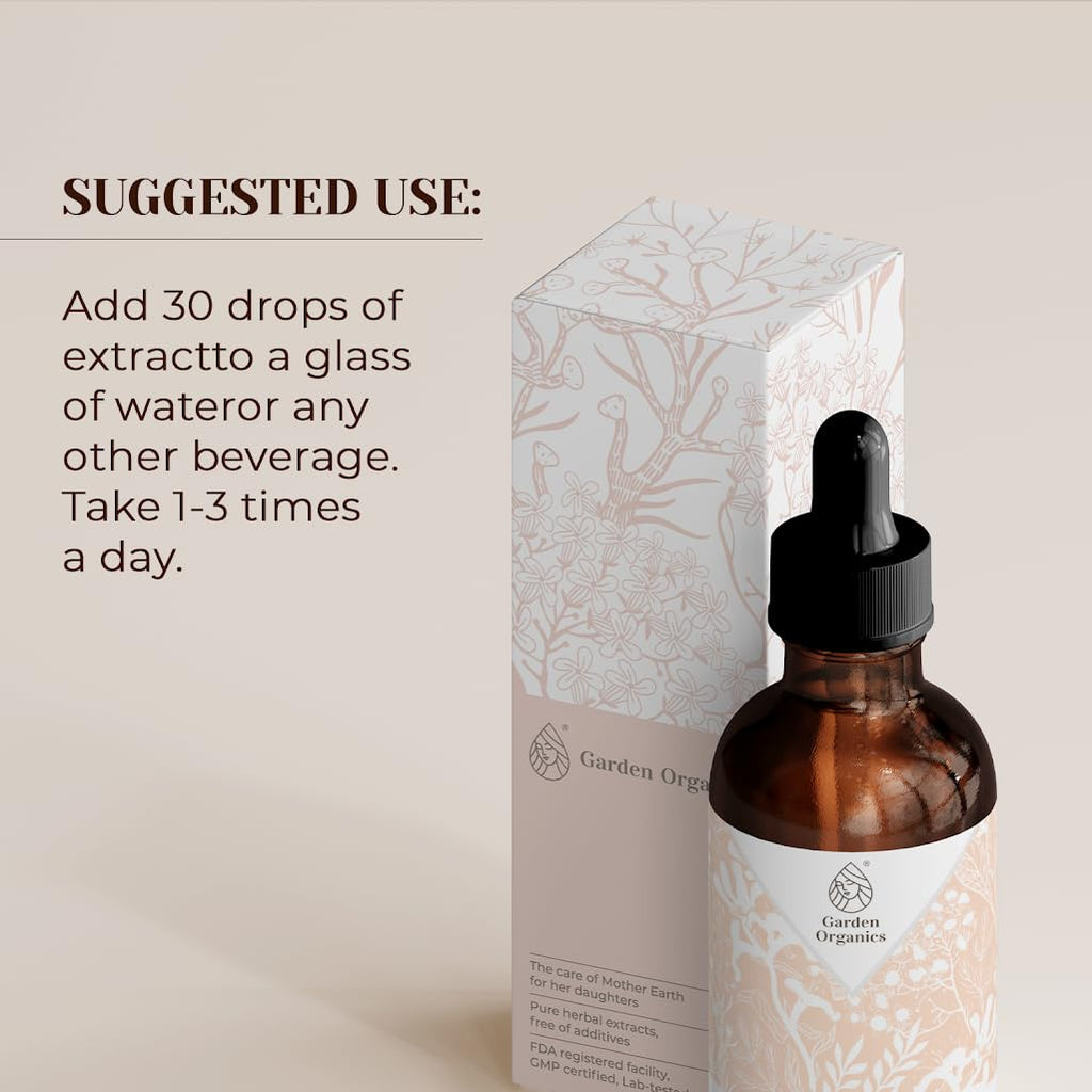 Mistletoe USDA Organic Alcohol-Free Extract – Organic Mistletoe Dried Herb (4 oz) Dietary Supplement