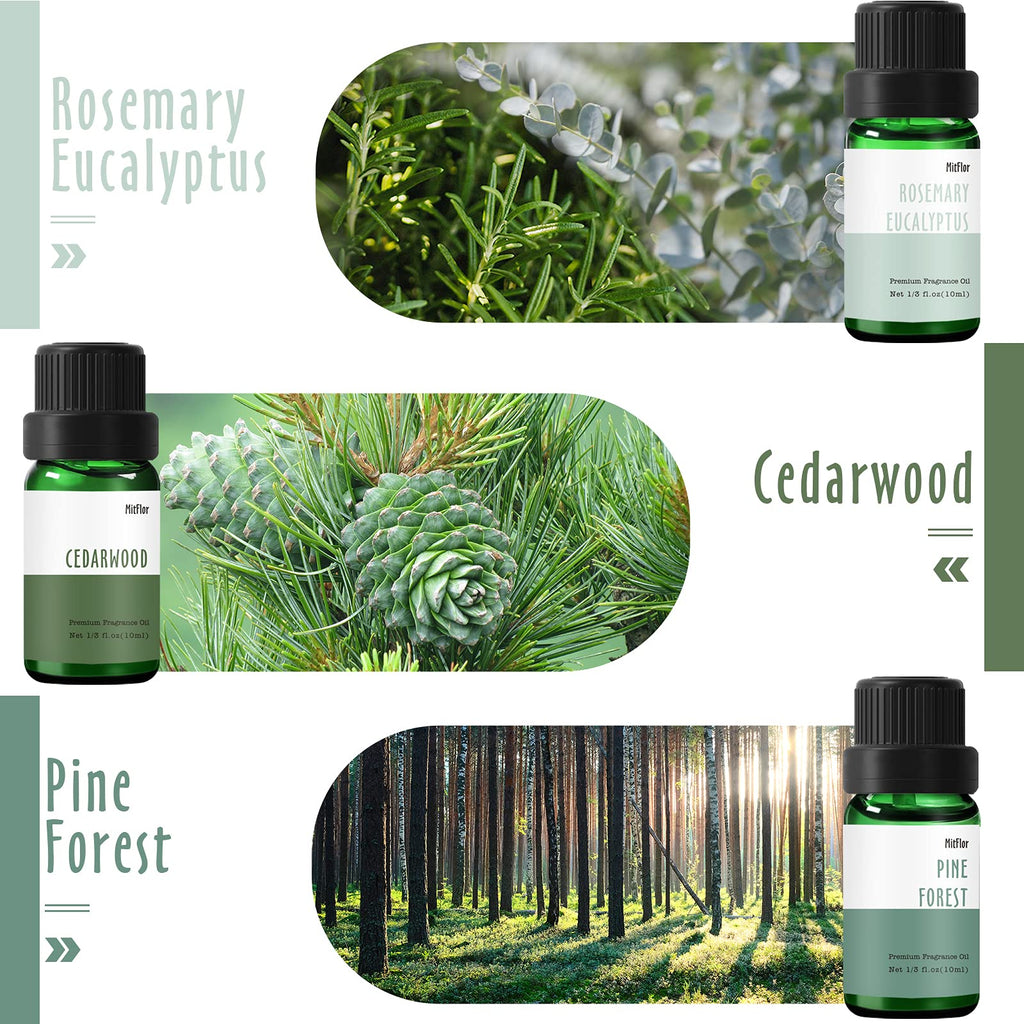 MitFlor Woodland Fragrance Oils – 6x10ml Scented Essential Oils for Diffusers, Candles, Soaps (Pine Forest, Cedarwood, Oakmoss Amber, Frosty Fir, Rosemary Eucalyptus, Oud Tobacco)