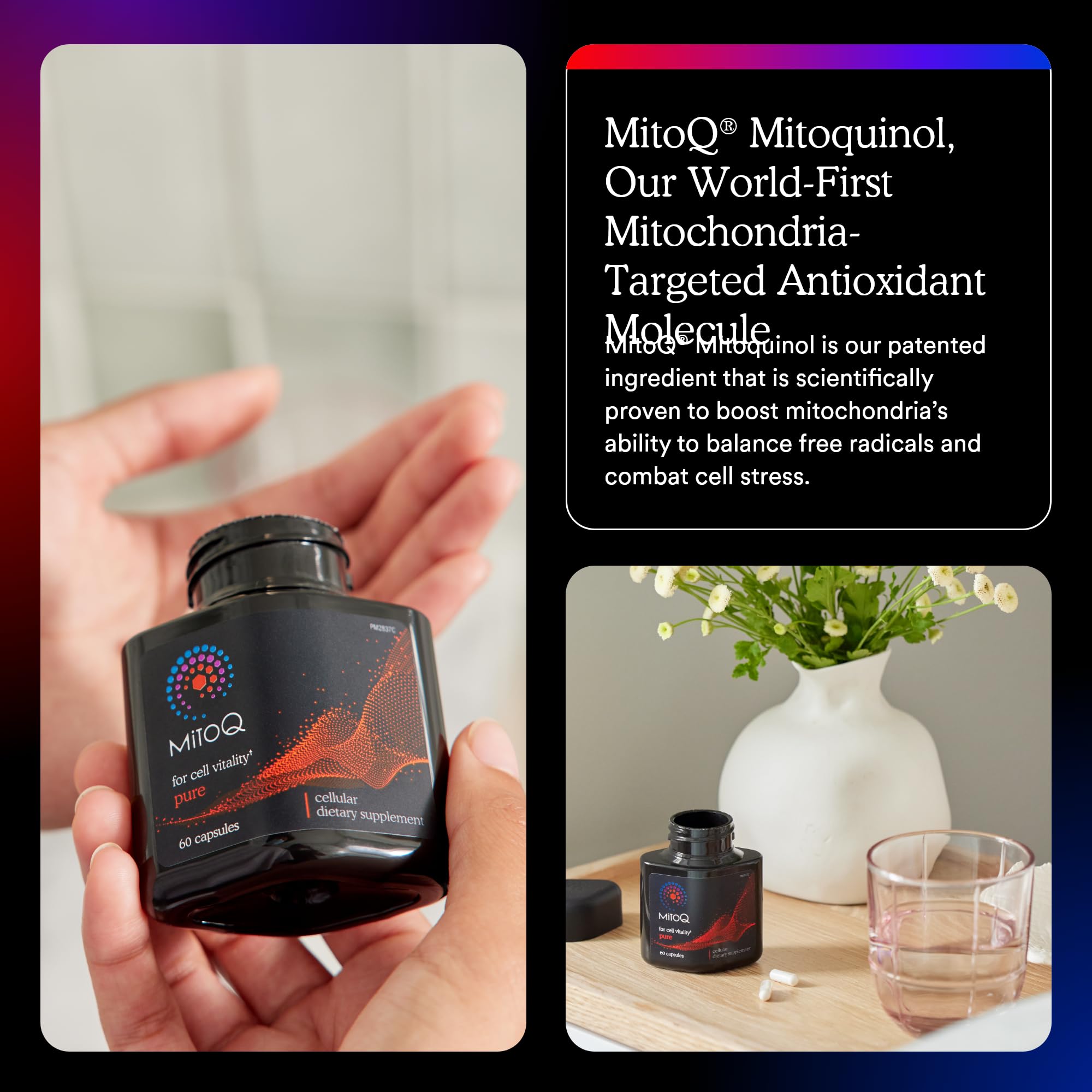 MitoQ Pure: Advanced Mitochondria Supplement for Energy, Vitality & Healthy Aging