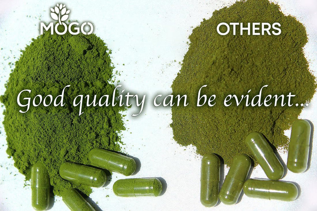 MOGO Moringa Capsules 180 Ct - Organic Moringa Powder | Energy, Immunity, Gut & Joints | Made in USA