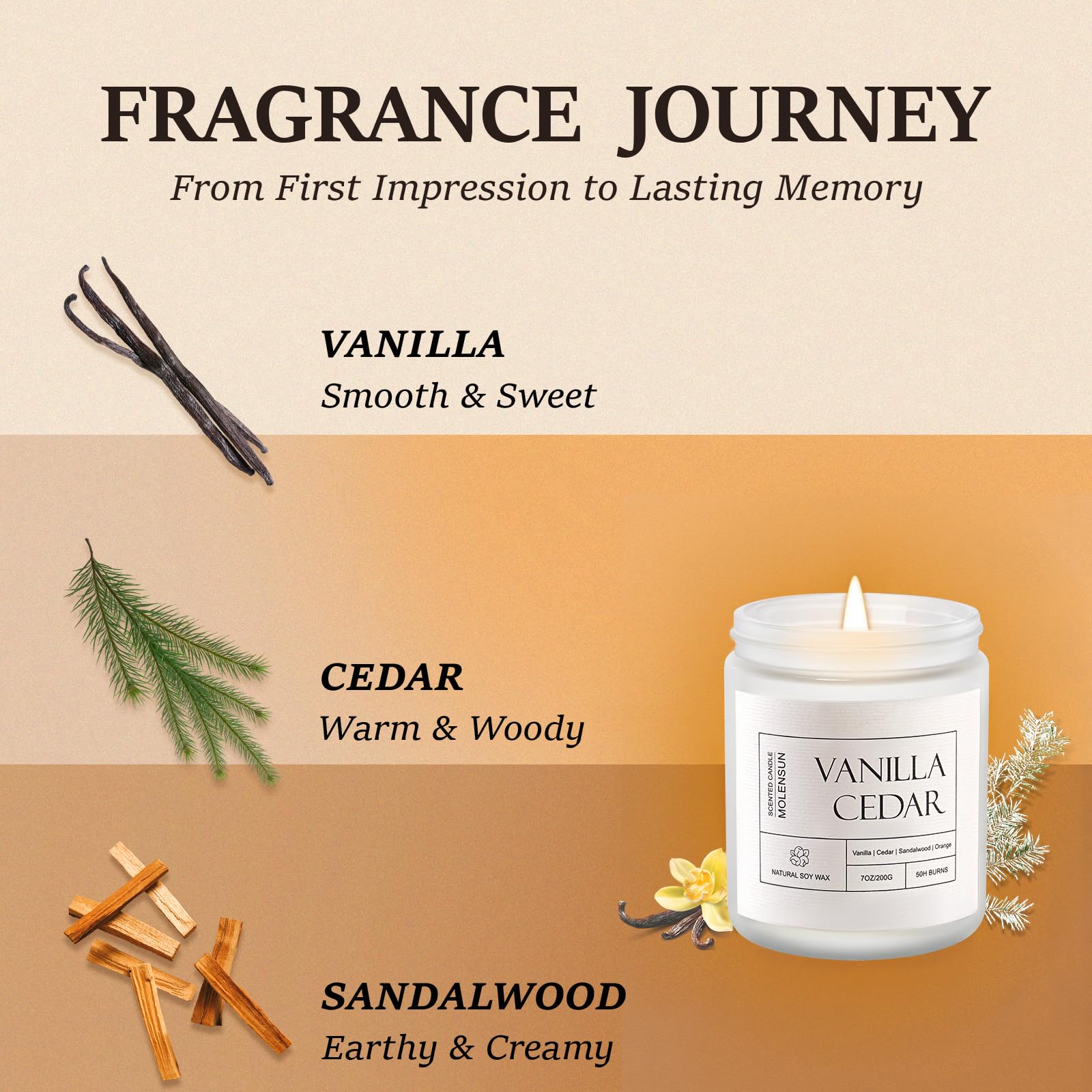 Molensun Vanilla Cedar Candle | 7 oz Soy Candle – Cozy Winter Gift